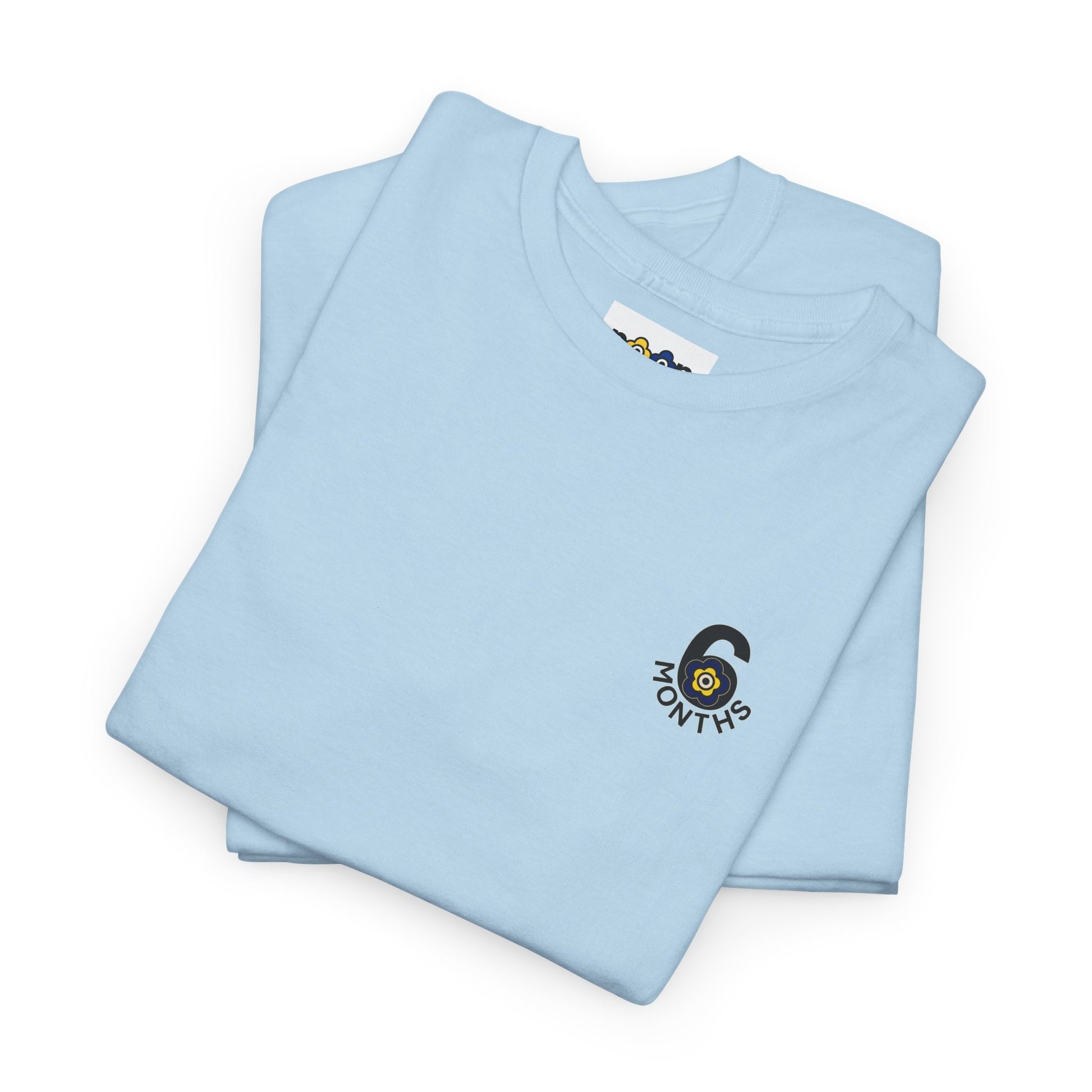 P🌺🌺P2Poppies 6 Months Sober – Motivational Recovery T-Shirt