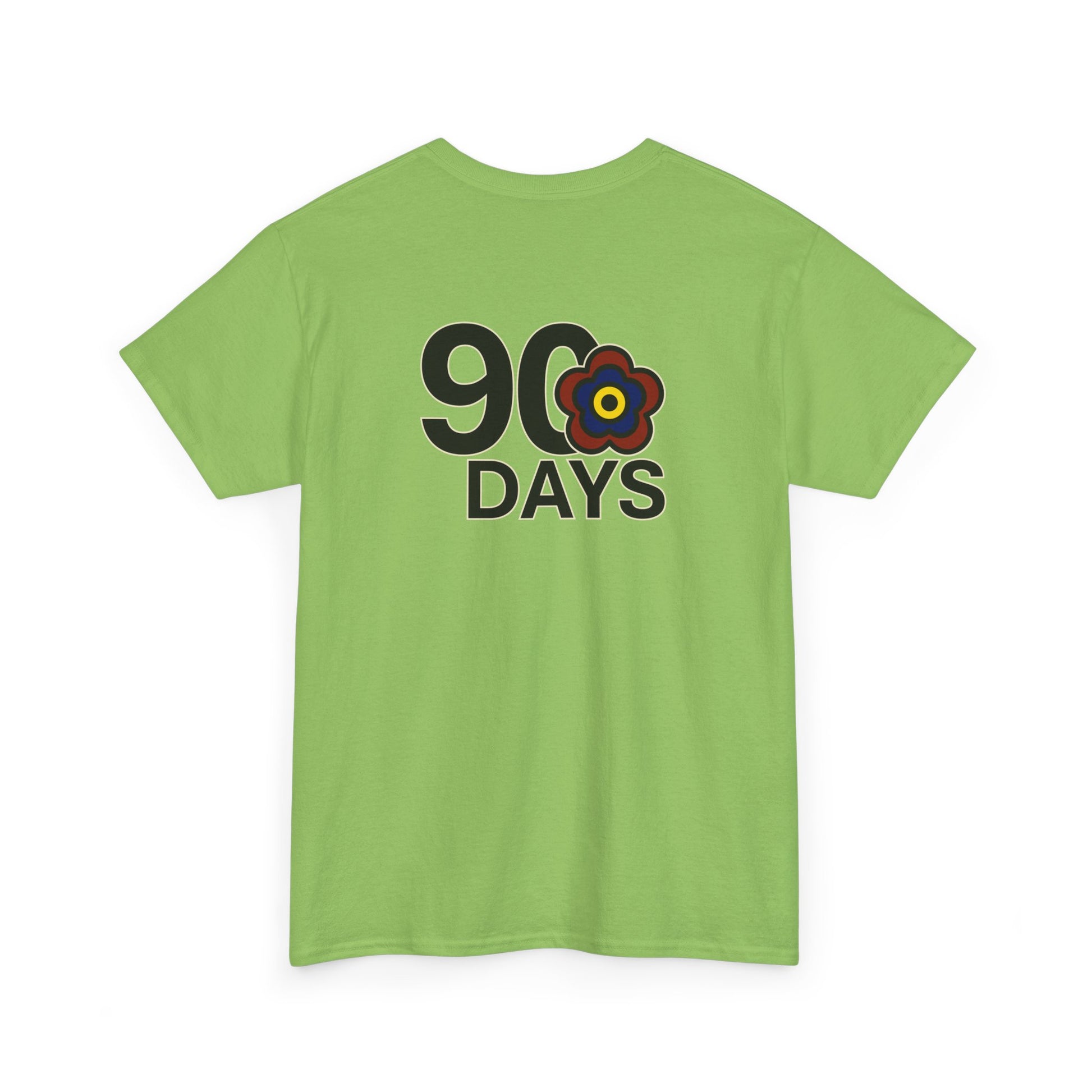 P🌺🌺P2Poppies 90 Days Sober – Motivational Recovery T-Shirt