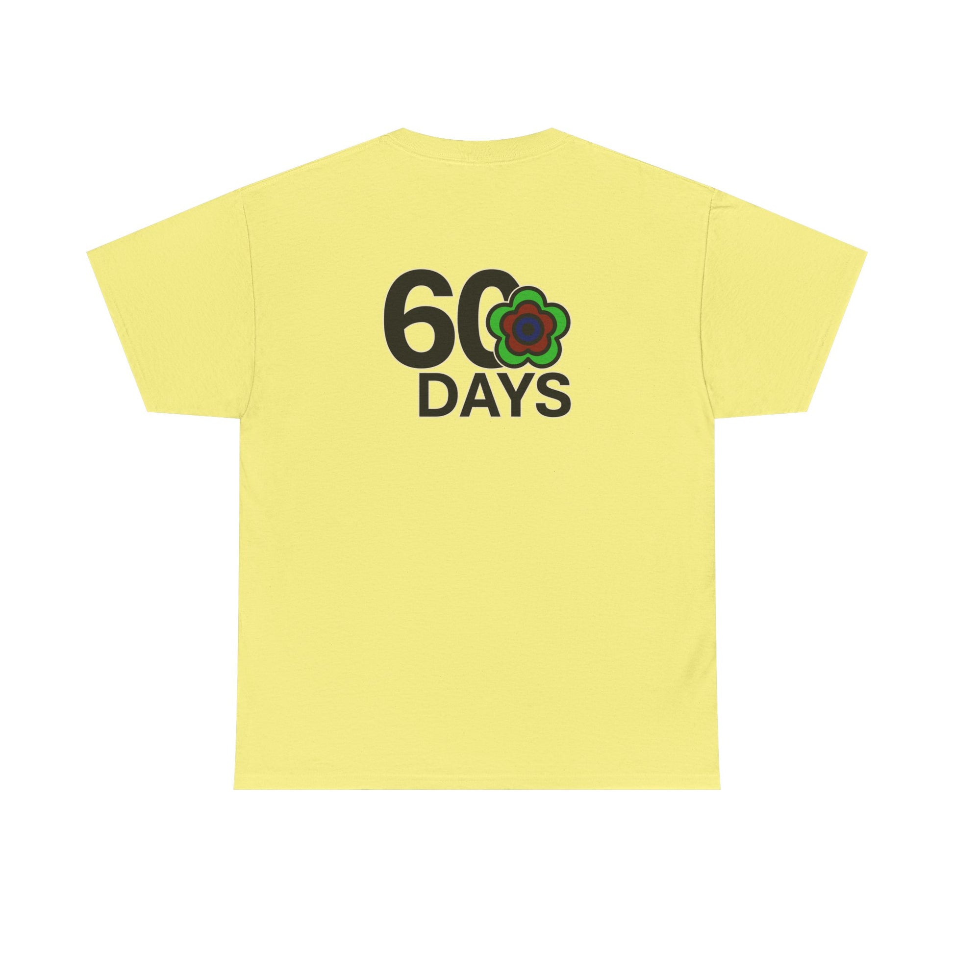 P🌺🌺P2Poppies 60 Days Sober – Motivational Recovery T-Shirt