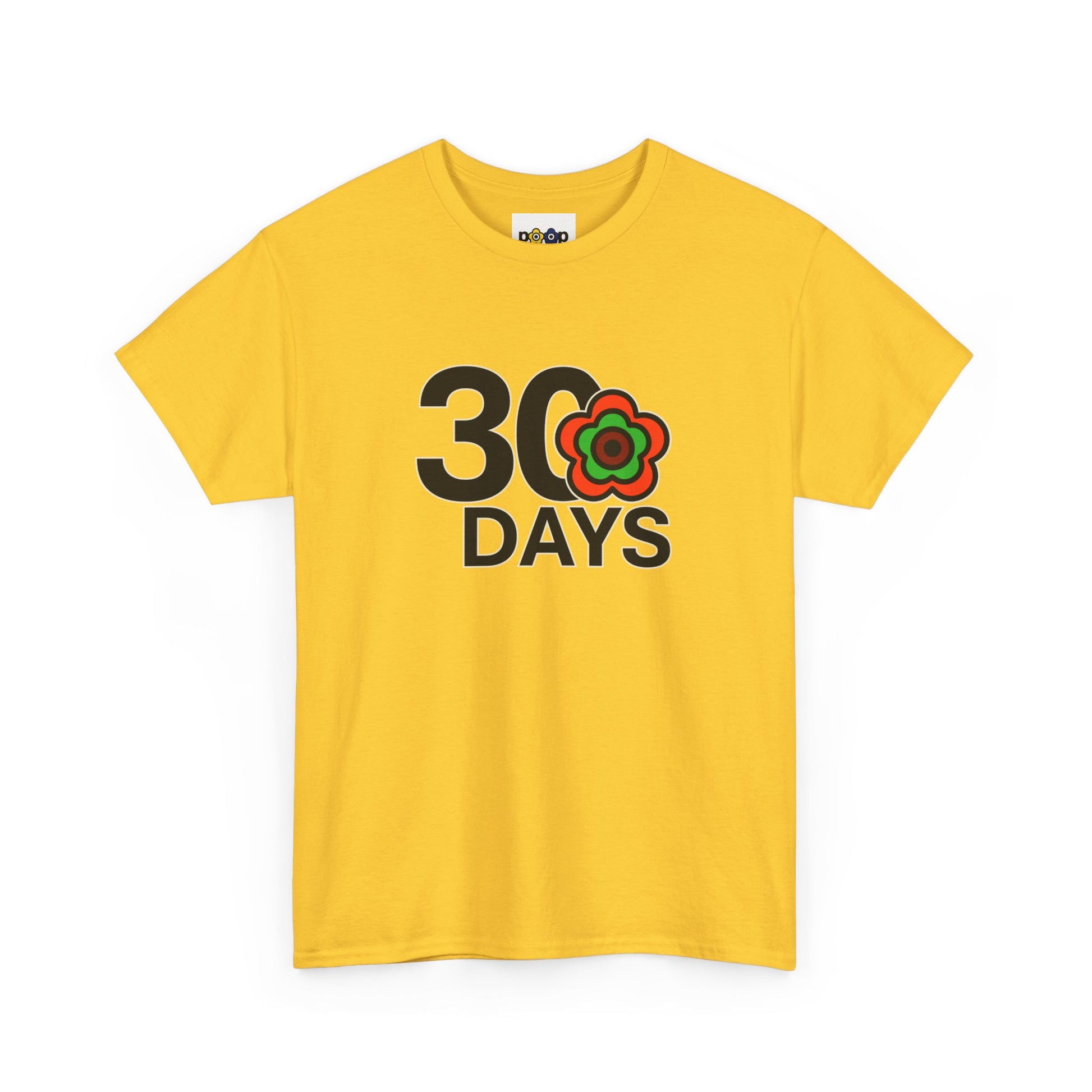 P🌺🌺P2Poppies 30 Days Sober – Motivational Recovery T-Shirt