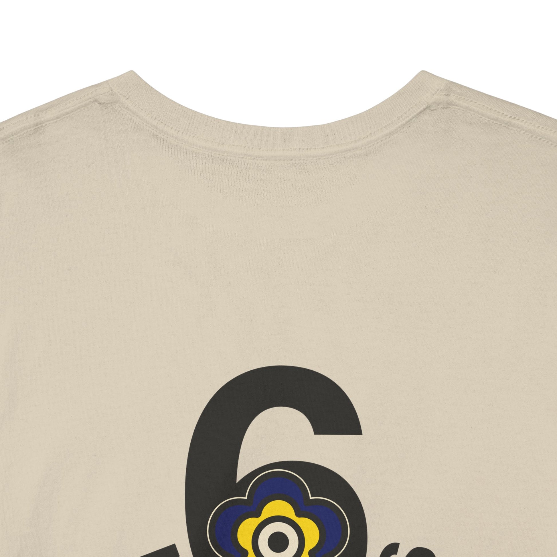 P🌺🌺P2Poppies 6 Months Sober – Motivational Recovery T-Shirt