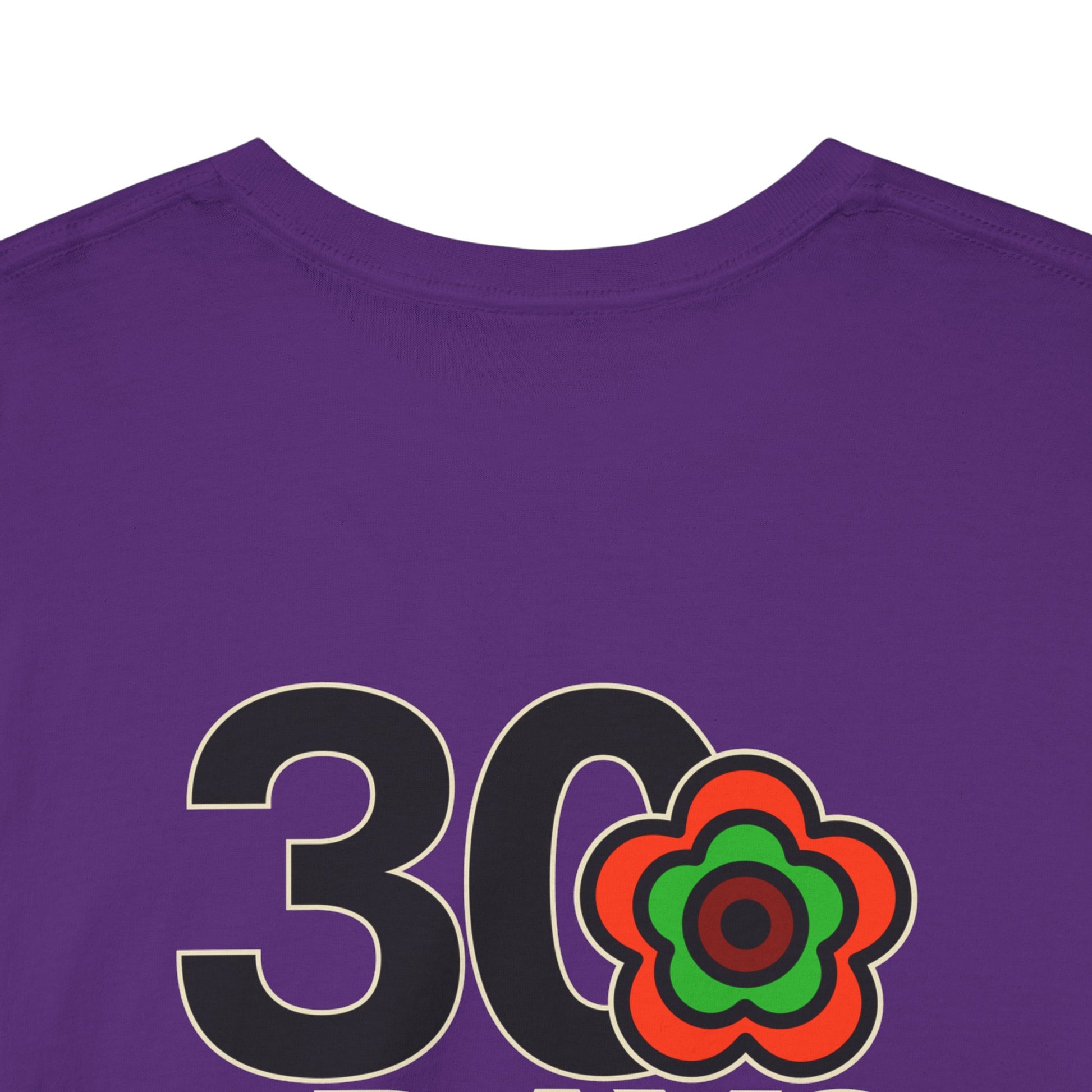 P🌺🌺P2Poppies 30 Days Sober – Motivational Recovery T-Shirt