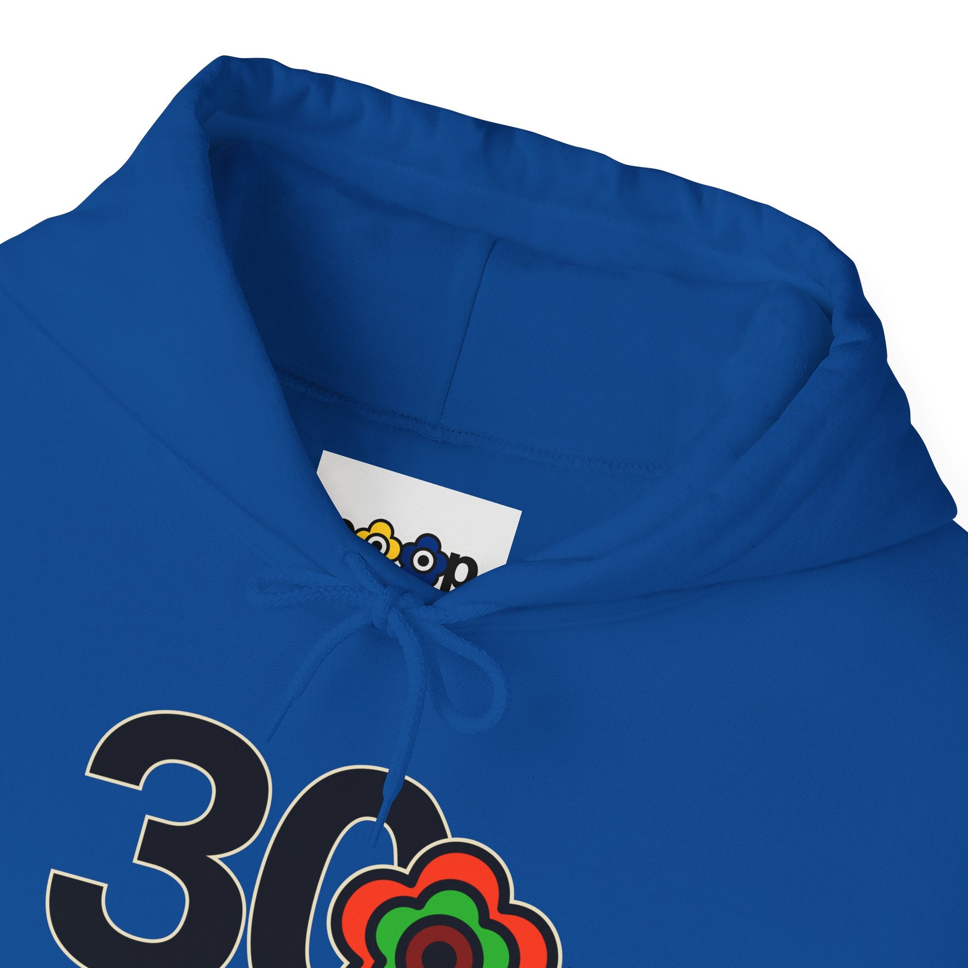 P🌺🌺P2Poppies 30 Days Sober Hoodie – Recovery Milestone Sweatshirt