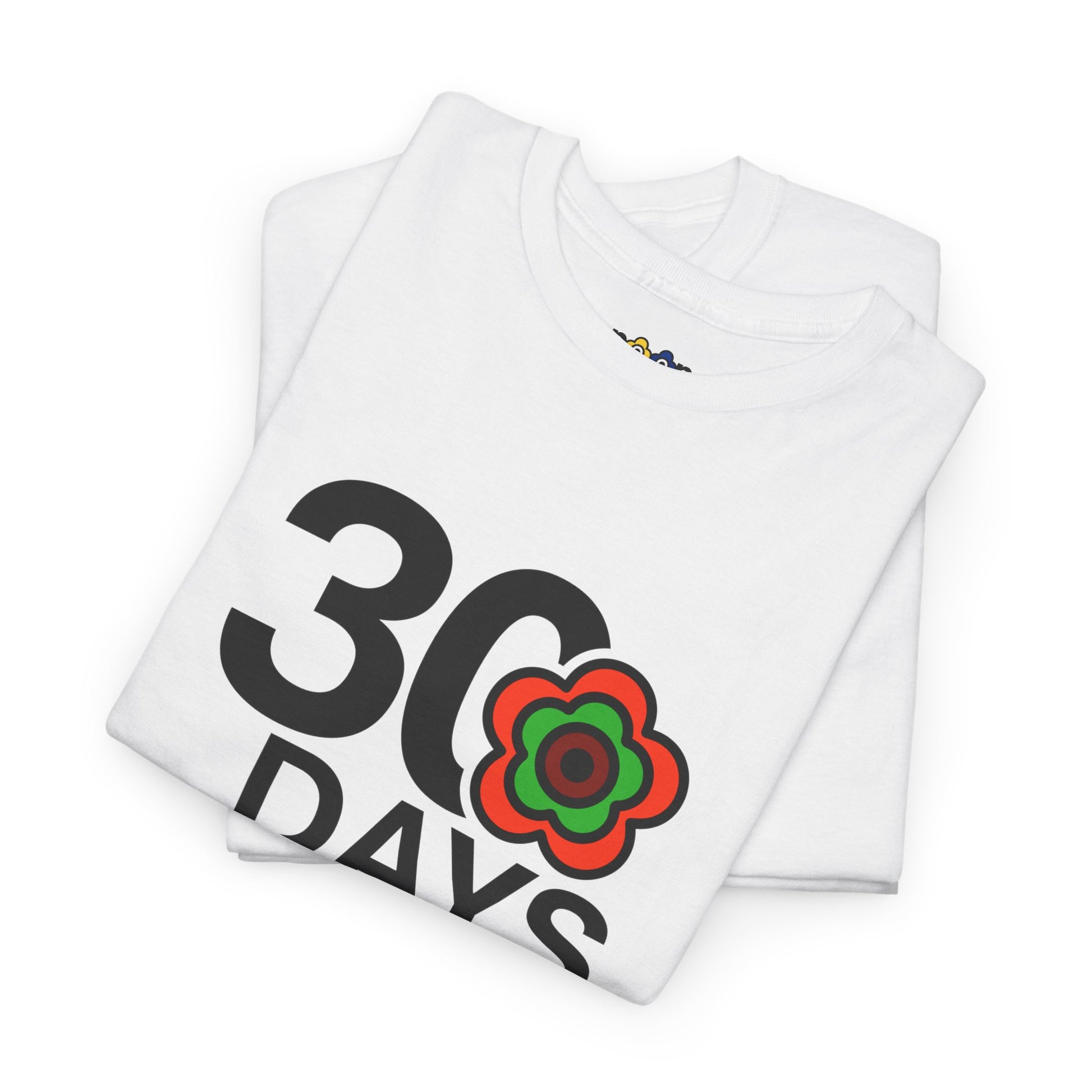 P🌺🌺P2Poppies 30 Days Sober – Motivational Recovery T-Shirt