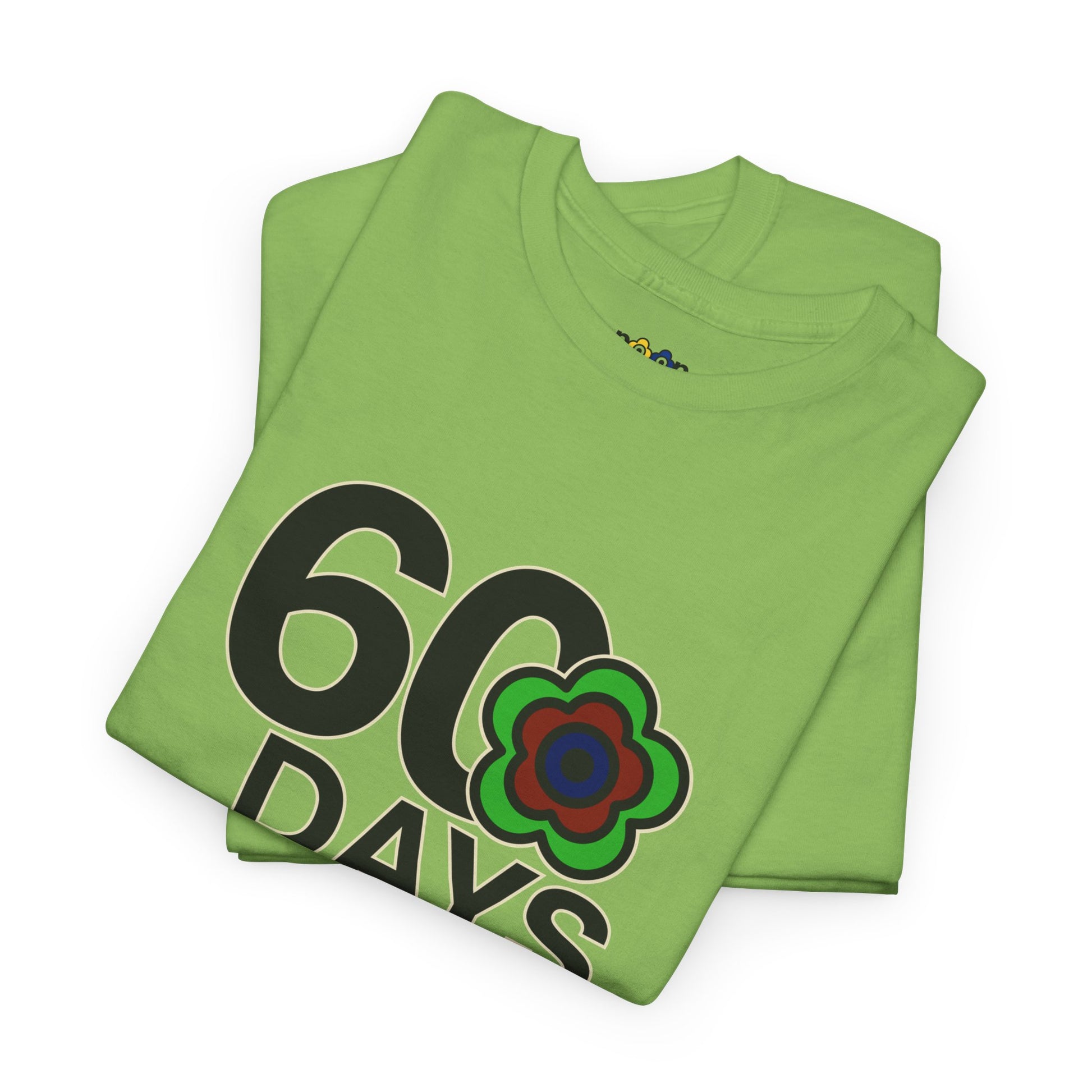 P🌺🌺P2Poppies 60 Days Sober – Motivational Recovery T-Shirt