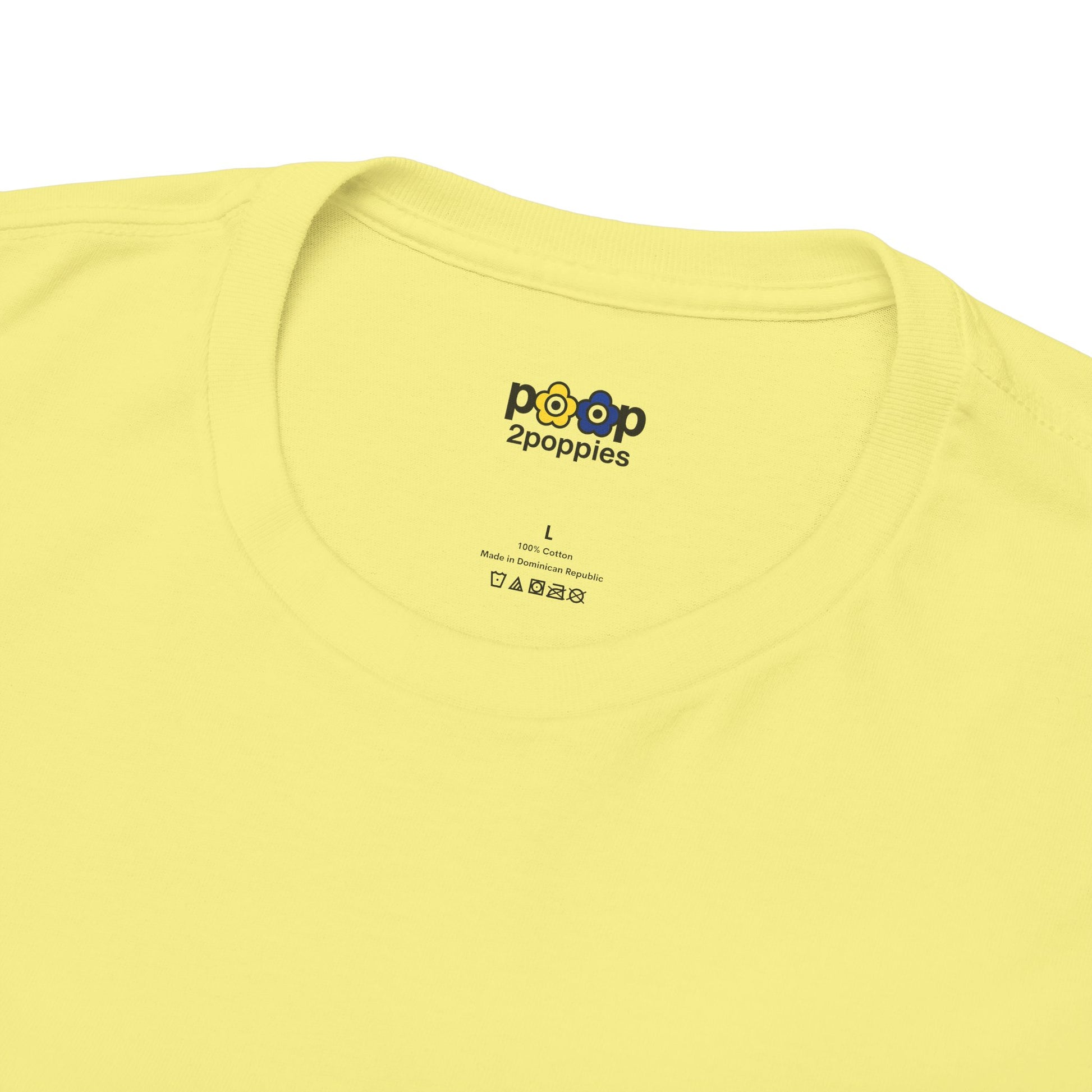 P🌺🌺P2Poppies 60 Days Sober – Motivational Recovery T-Shirt