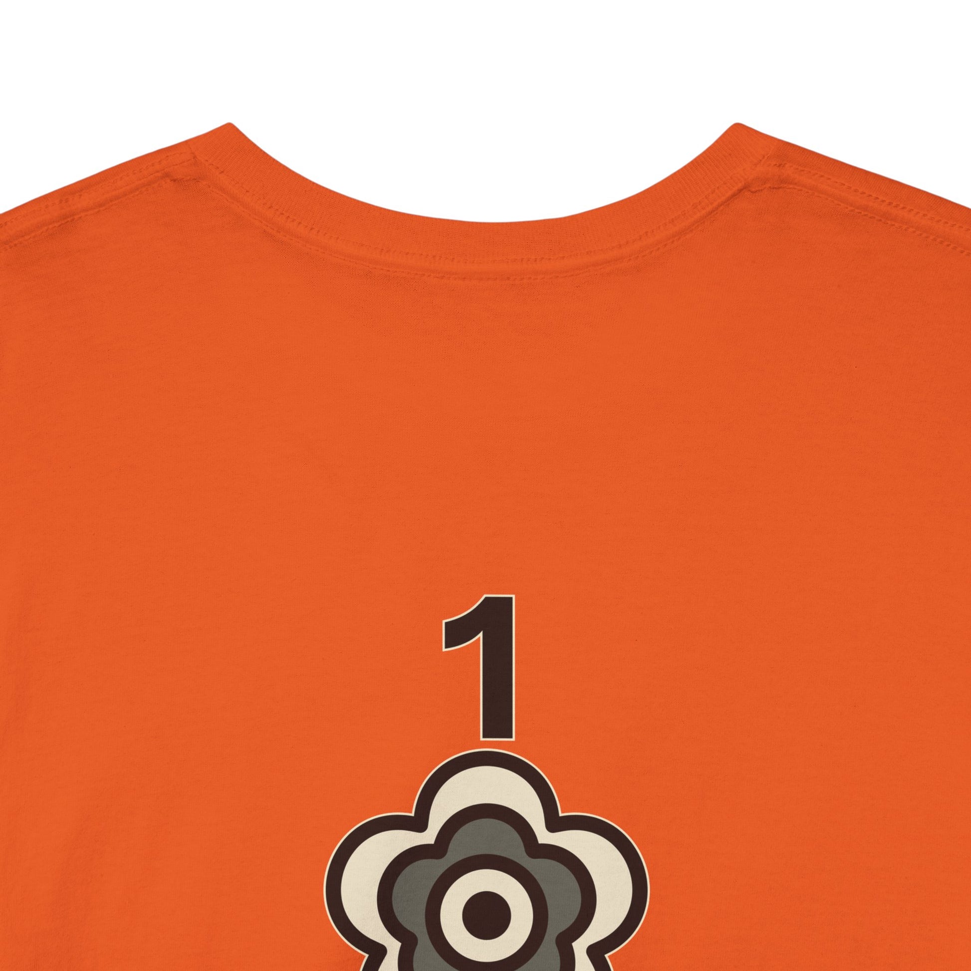 P🌺🌺P2Poppies 1 Year Sober – Motivational Recovery T-Shirt