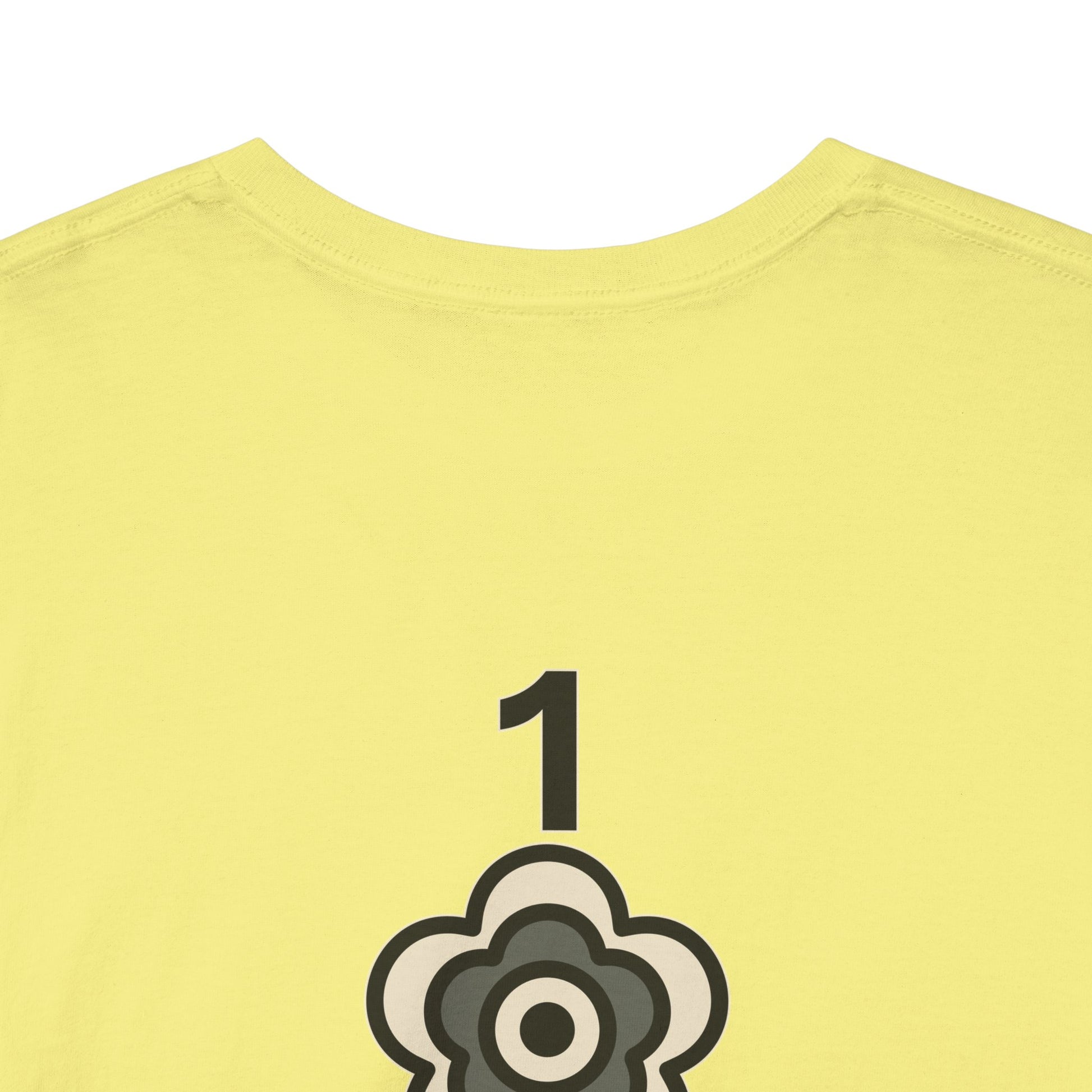 P🌺🌺P2Poppies 1 Year Sober – Motivational Recovery T-Shirt