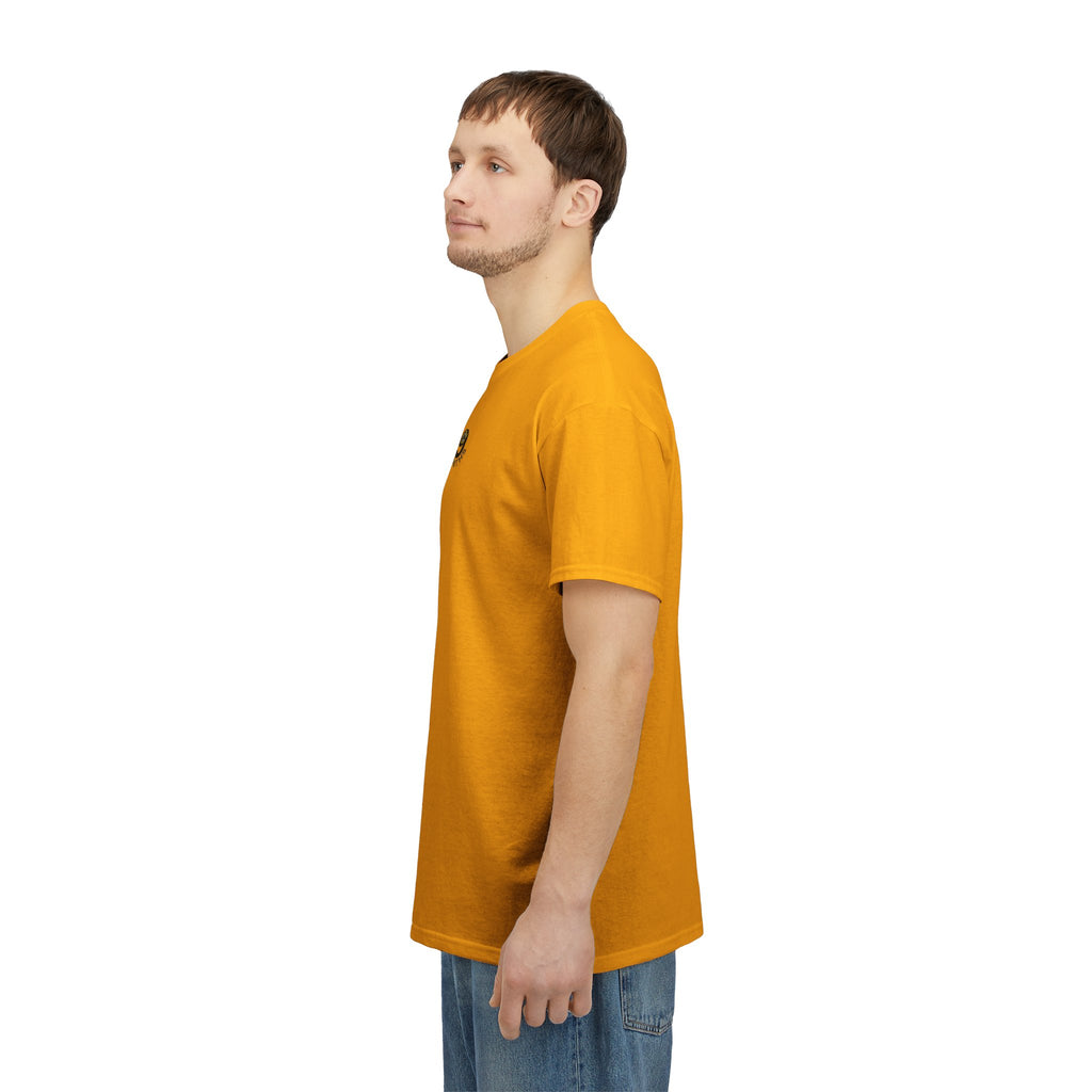 P🌺🌺P2Poppies 9 Months Sober – Motivational Recovery T-Shirt