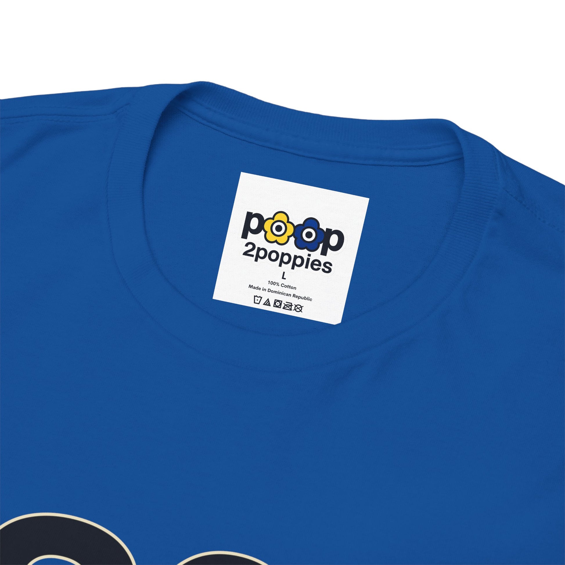 P🌺🌺P2Poppies 30 Days Sober – Motivational Recovery T-Shirt