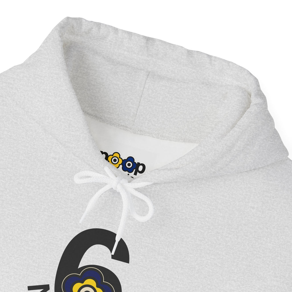 P🌺🌺P2Poppies 6 Months Sober Hoodie – Recovery Milestone Sweatshirt