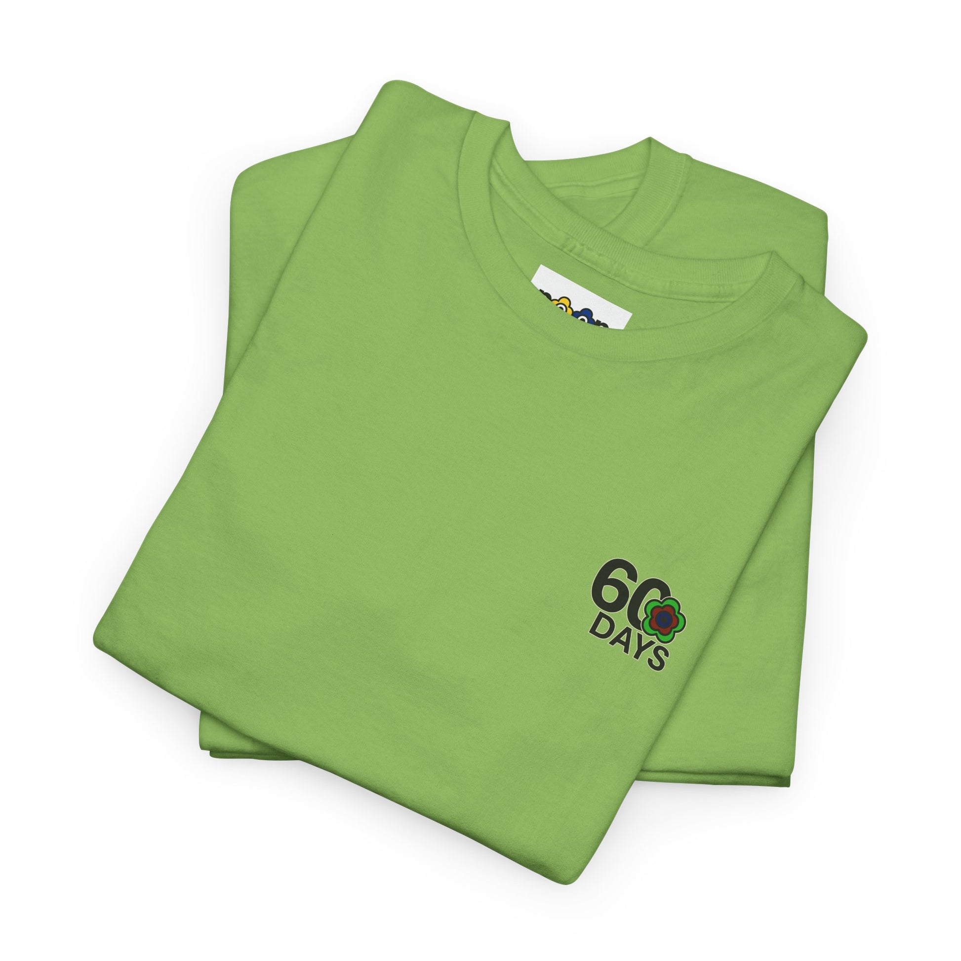 P🌺🌺P2Poppies 60 Days Sober – Motivational Recovery T-Shirt