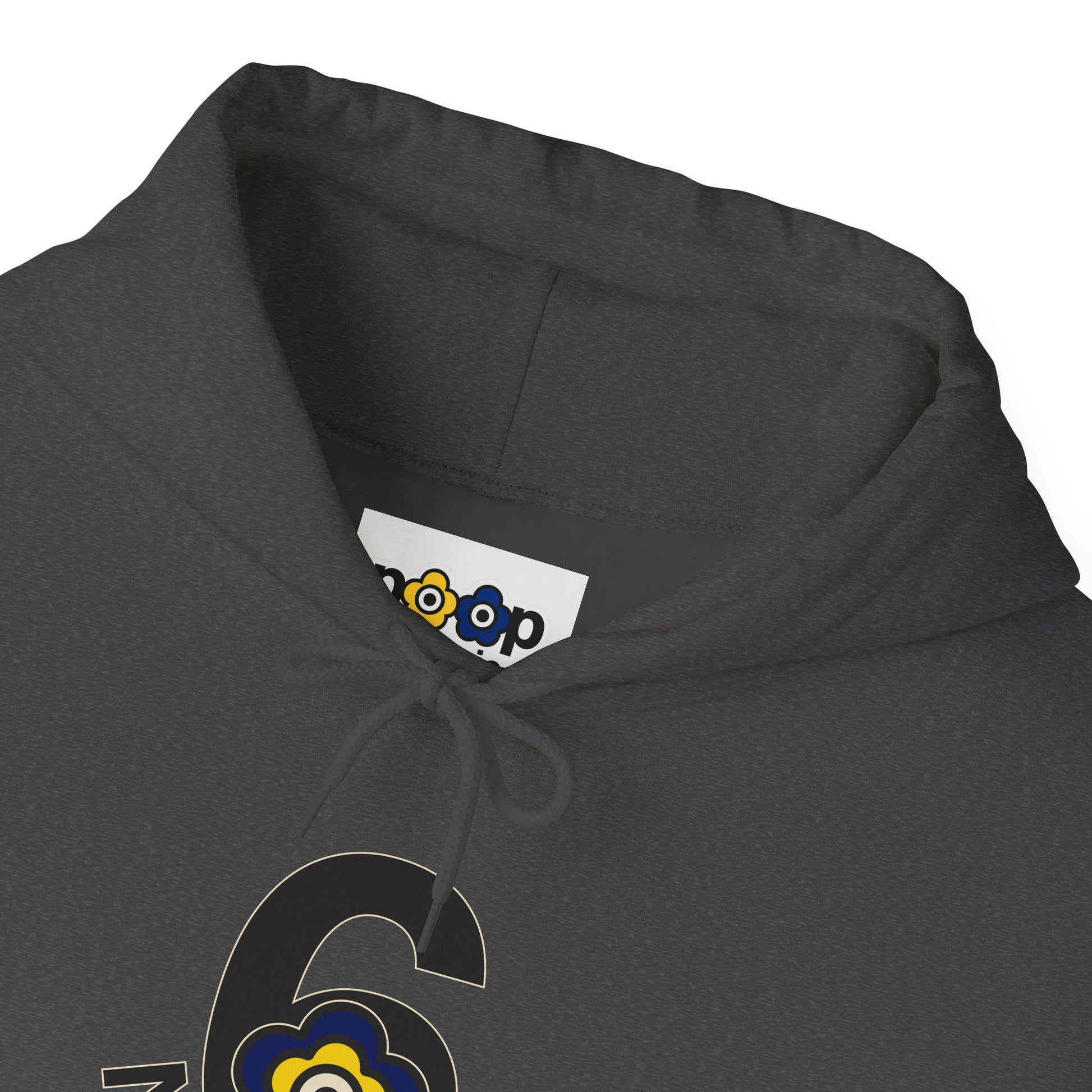 P🌺🌺P2Poppies 6 Months Sober Hoodie – Recovery Milestone Sweatshirt