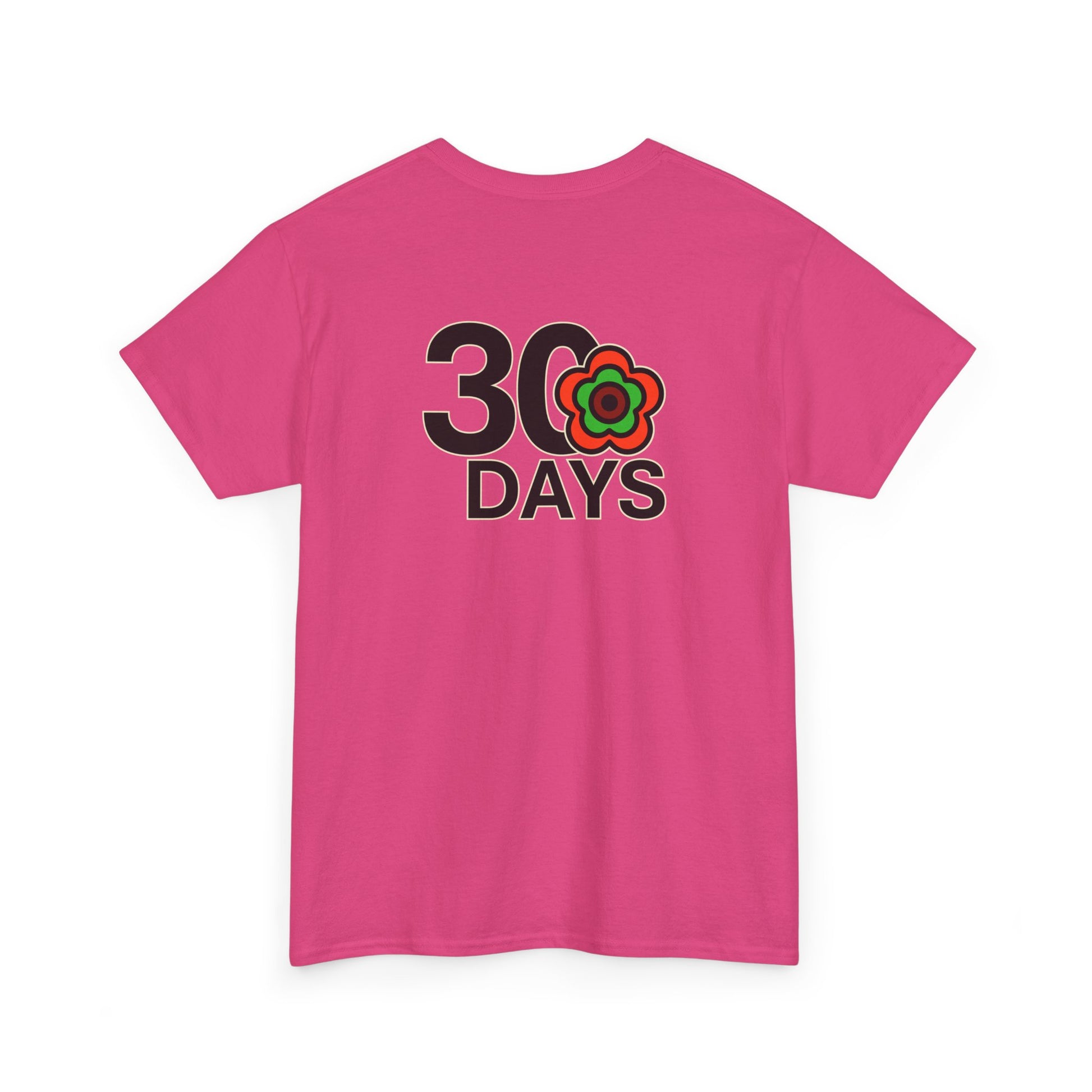 P🌺🌺P2Poppies 30 Days Sober – Motivational Recovery T-Shirt