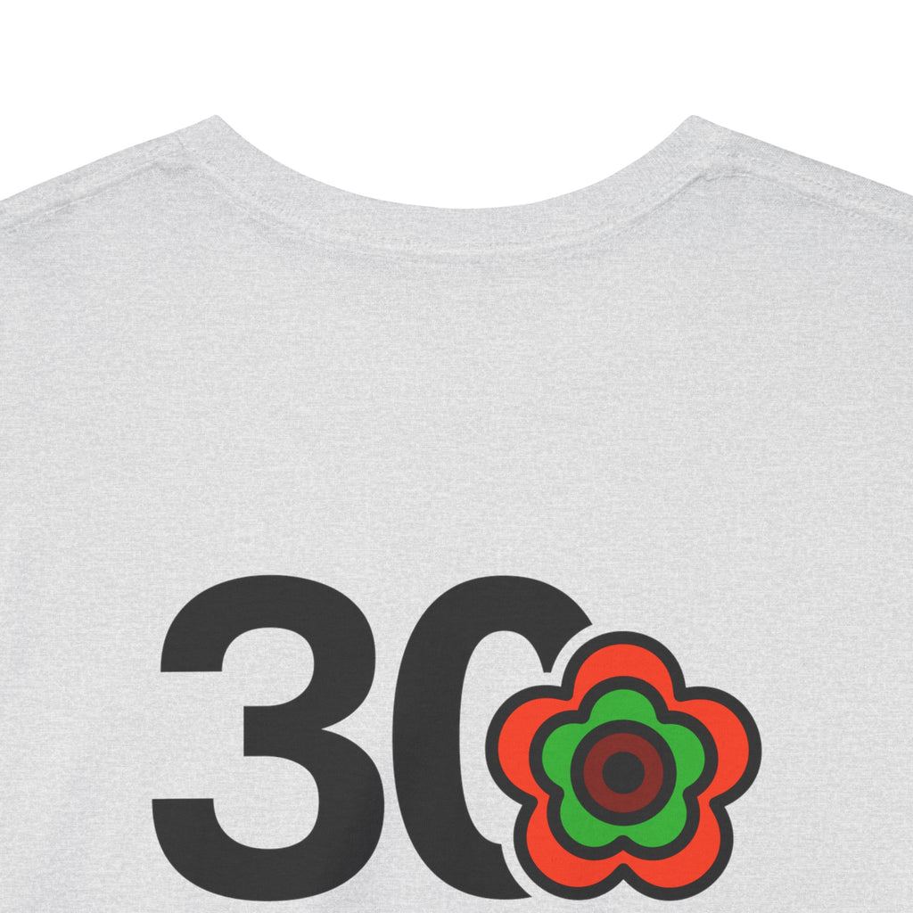 P🌺🌺P2Poppies 30 Days Sober – Motivational Recovery T-Shirt