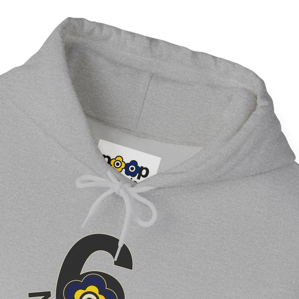 P🌺🌺P2Poppies 6 Months Sober Hoodie – Recovery Milestone Sweatshirt