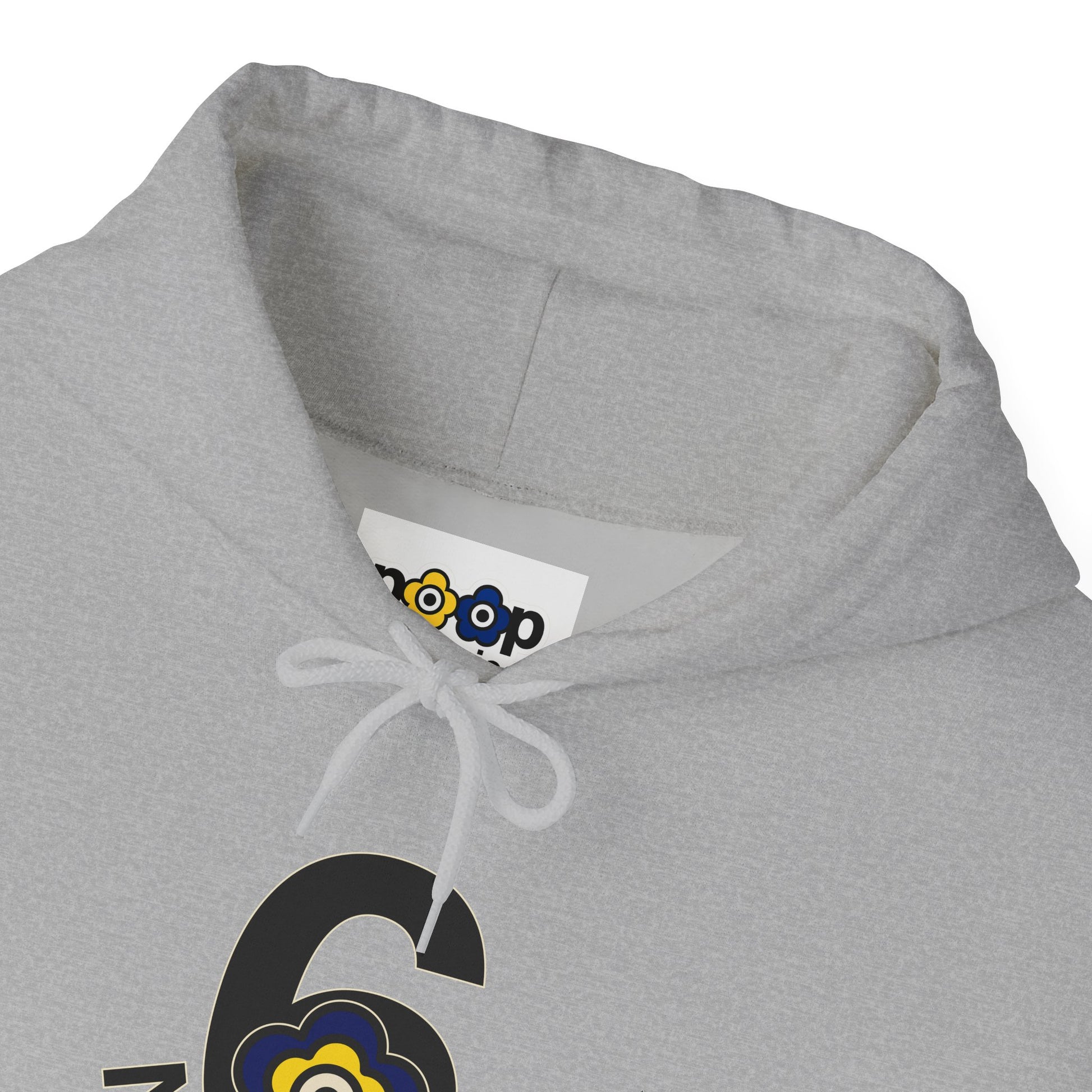 P🌺🌺P2Poppies 6 Months Sober Hoodie – Recovery Milestone Sweatshirt