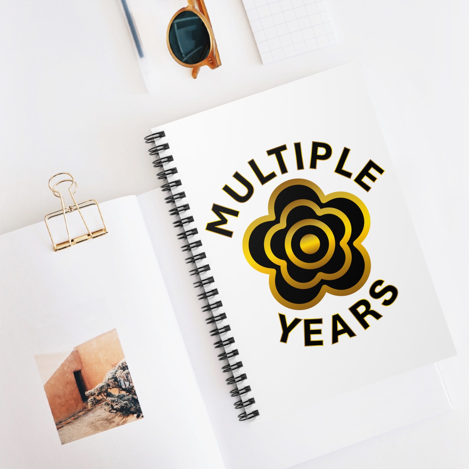 P🌺🌺P2Poppies Multiple Years Journal — Record & Reflect Your Journey