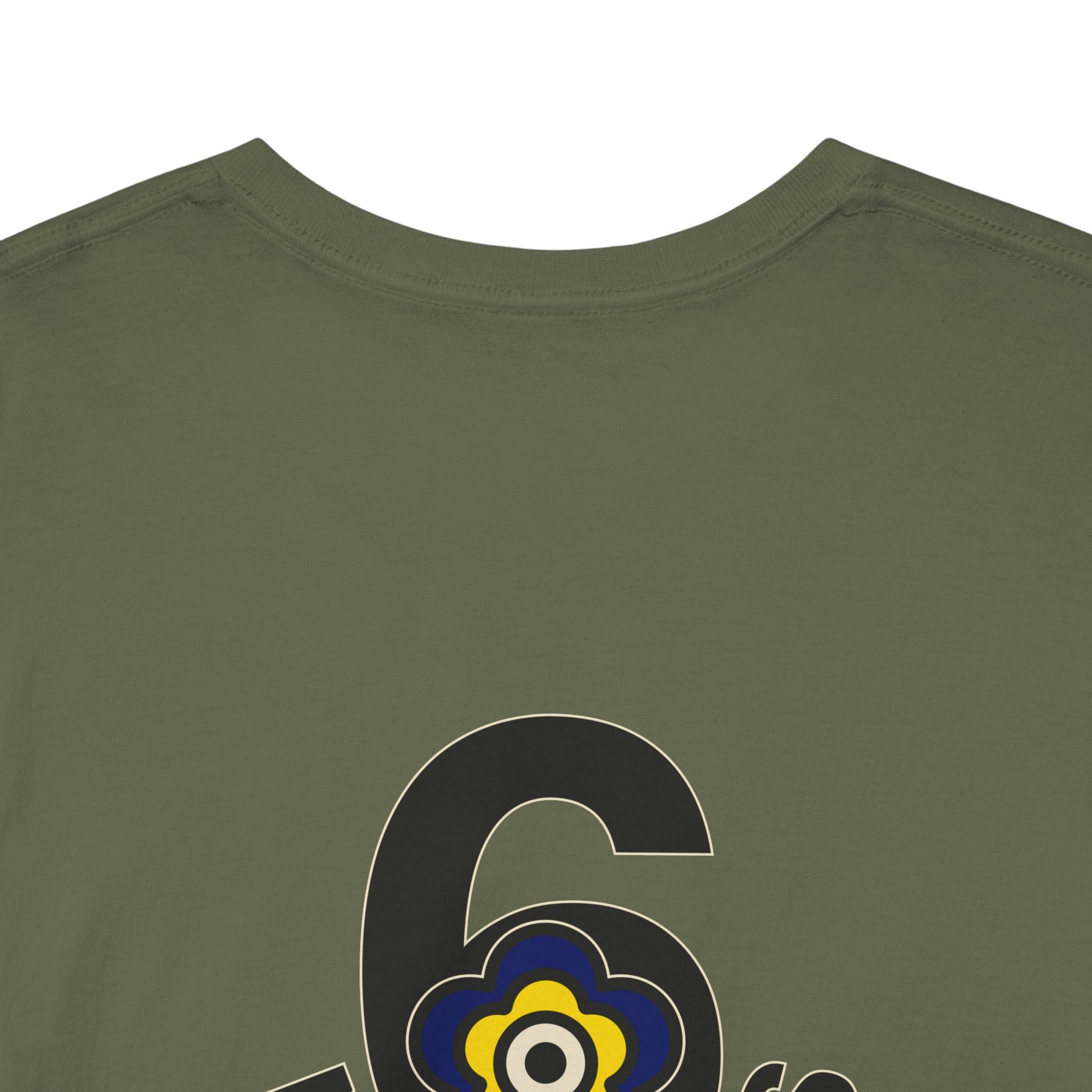 P🌺🌺P2Poppies 6 Months Sober – Motivational Recovery T-Shirt