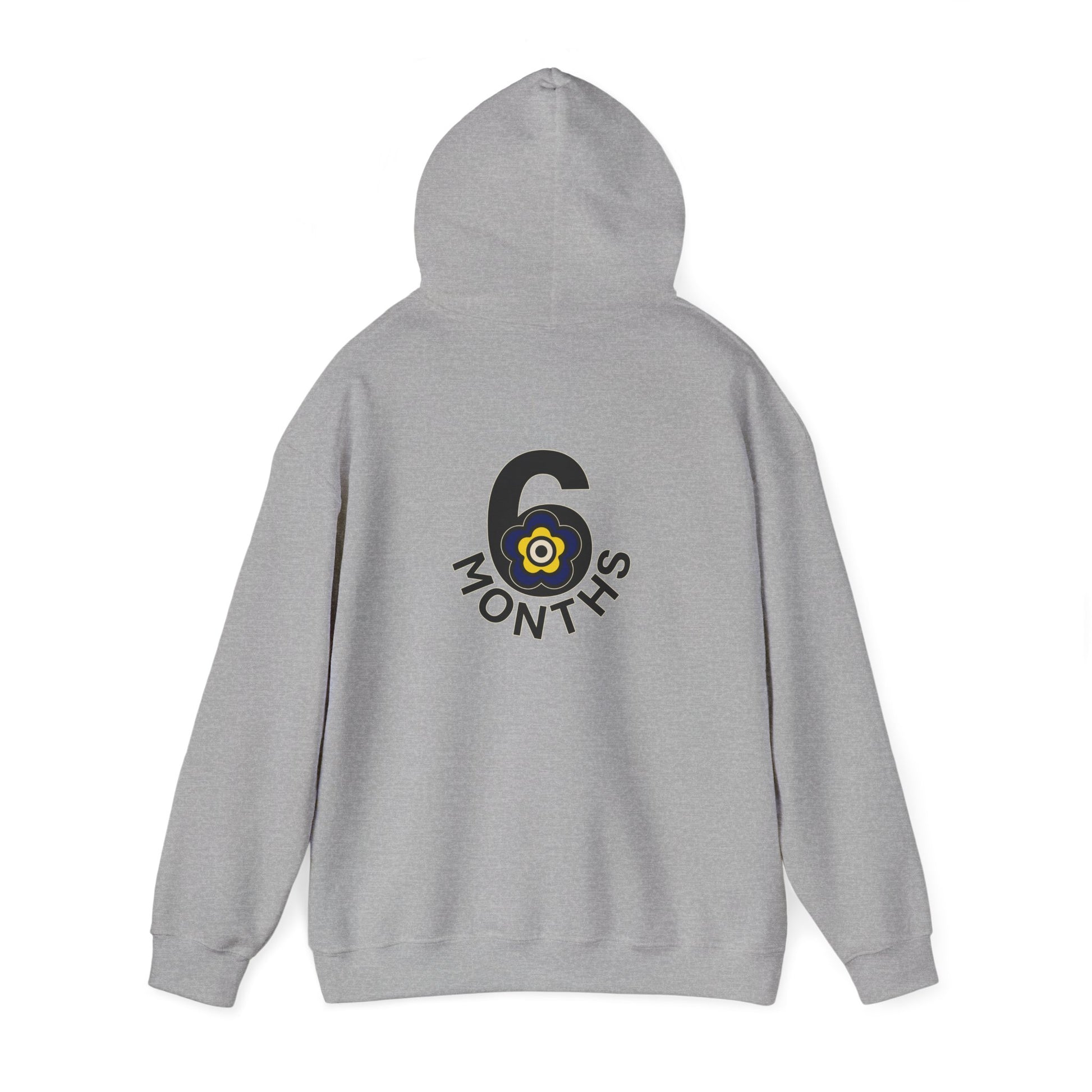 P🌺🌺P2Poppies 6 Months Sober Hoodie – Recovery Milestone Sweatshirt