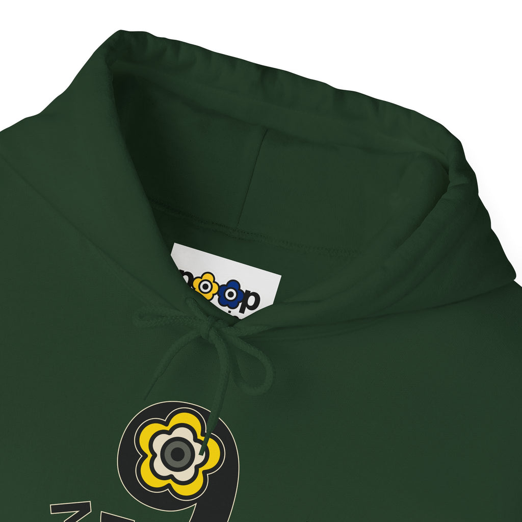 P🌺🌺P2Poppies 9 Months Sober Hoodie – Recovery Milestone Sweatshirt