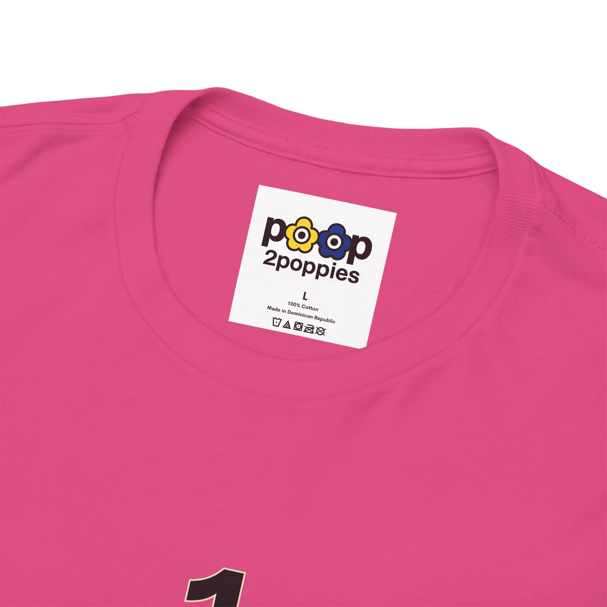 P🌺🌺P2Poppies 1 Year Sober – Motivational Recovery T-Shirt