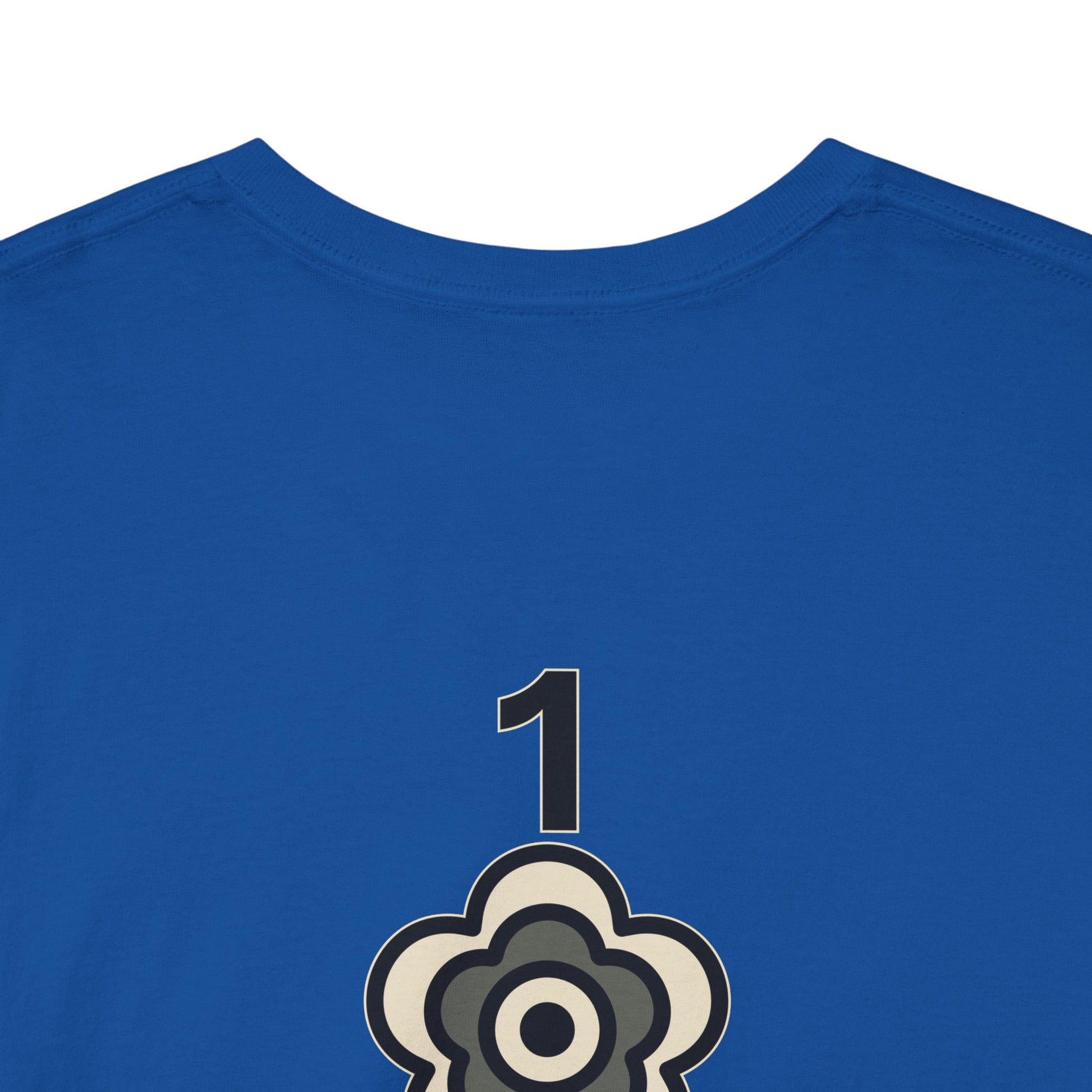 P🌺🌺P2Poppies 1 Year Sober – Motivational Recovery T-Shirt