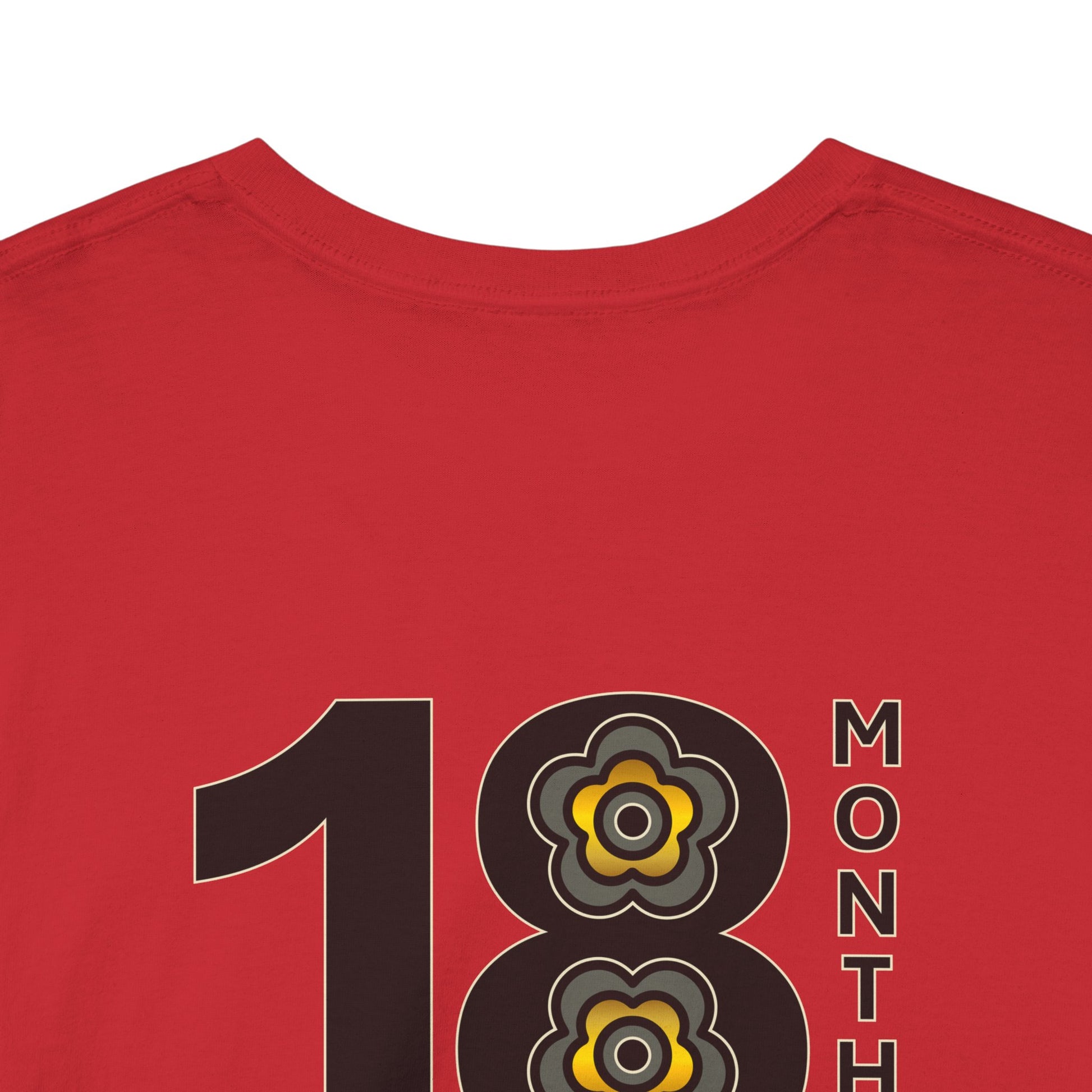 P🌺🌺P2Poppies 18 Months Sober – Motivational Recovery T-Shirt