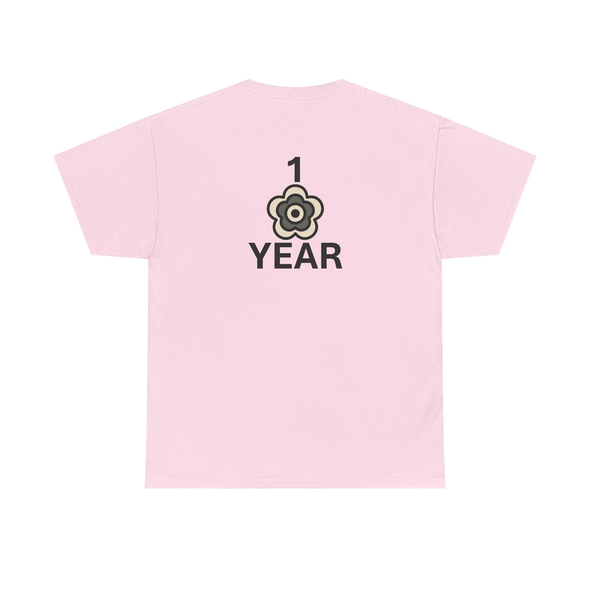 P🌺🌺P2Poppies 1 Year Sober – Motivational Recovery T-Shirt