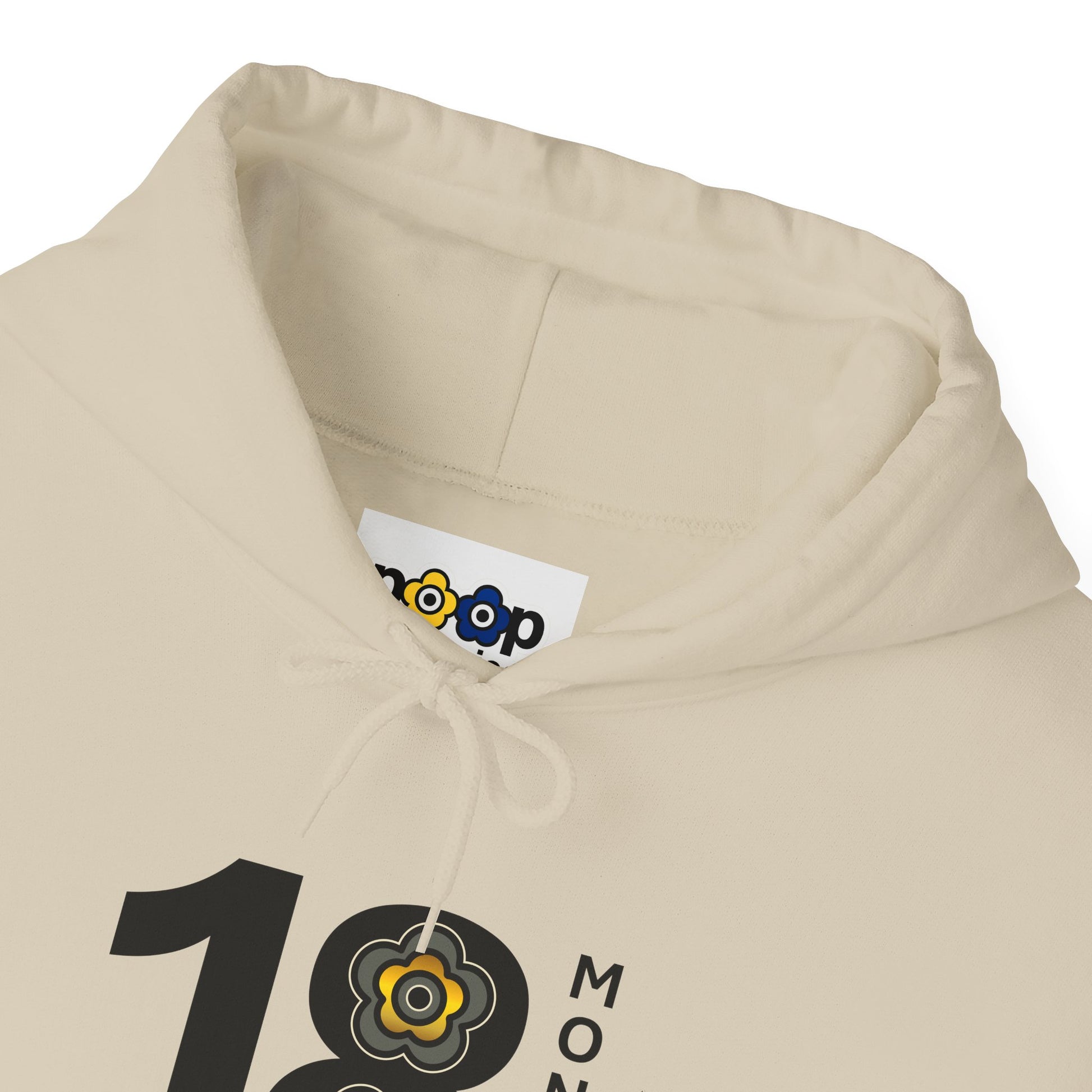 P🌺🌺P2Poppies 18 Months Sober Hoodie – Recovery Milestone Sweatshirt