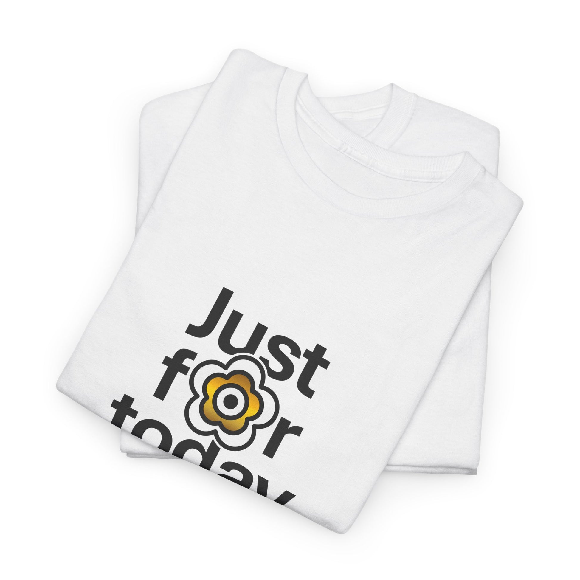 P🌺🌺P2Poppies Just for Today – Motivational Recovery T-Shirt