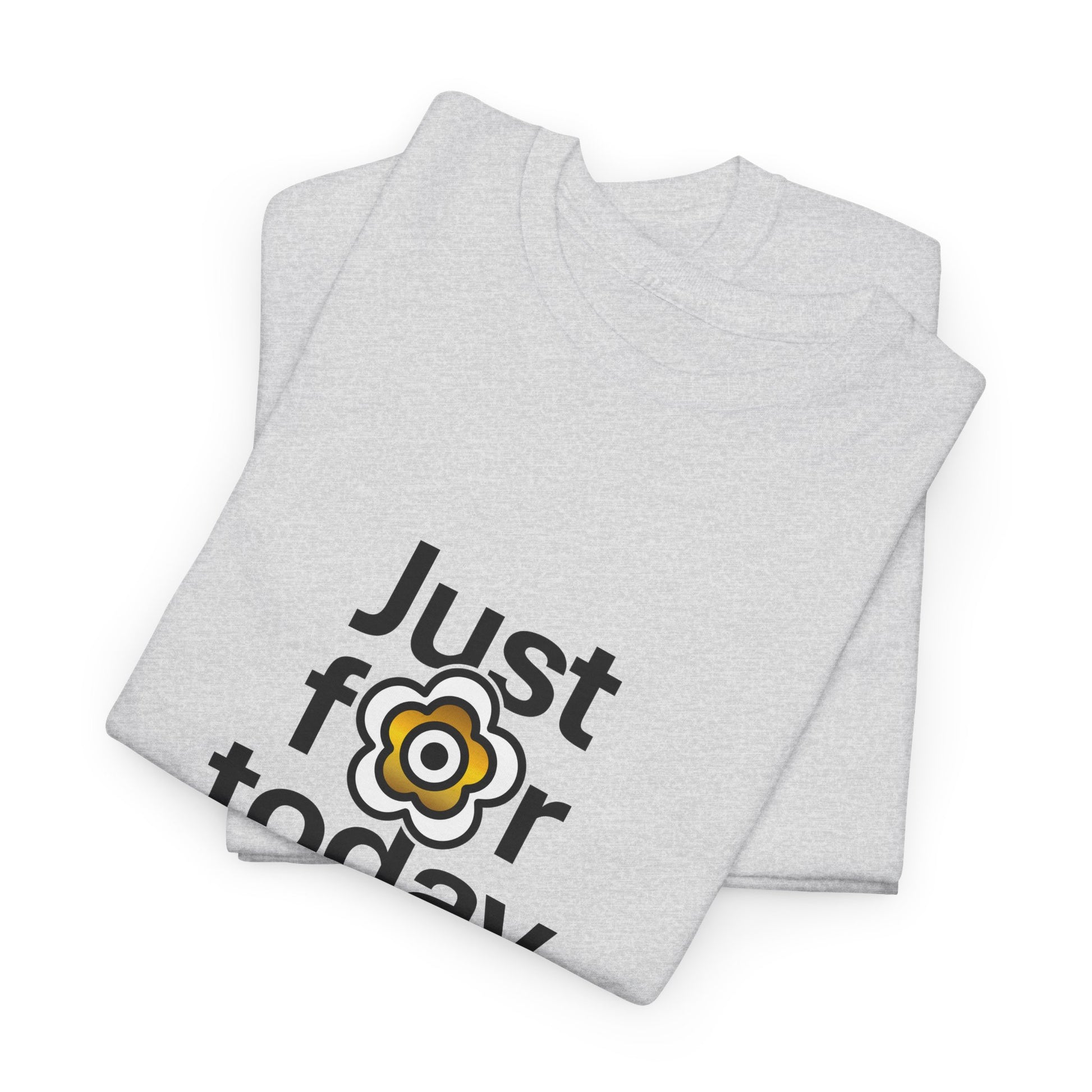 P🌺🌺P2Poppies Just for Today – Motivational Recovery T-Shirt