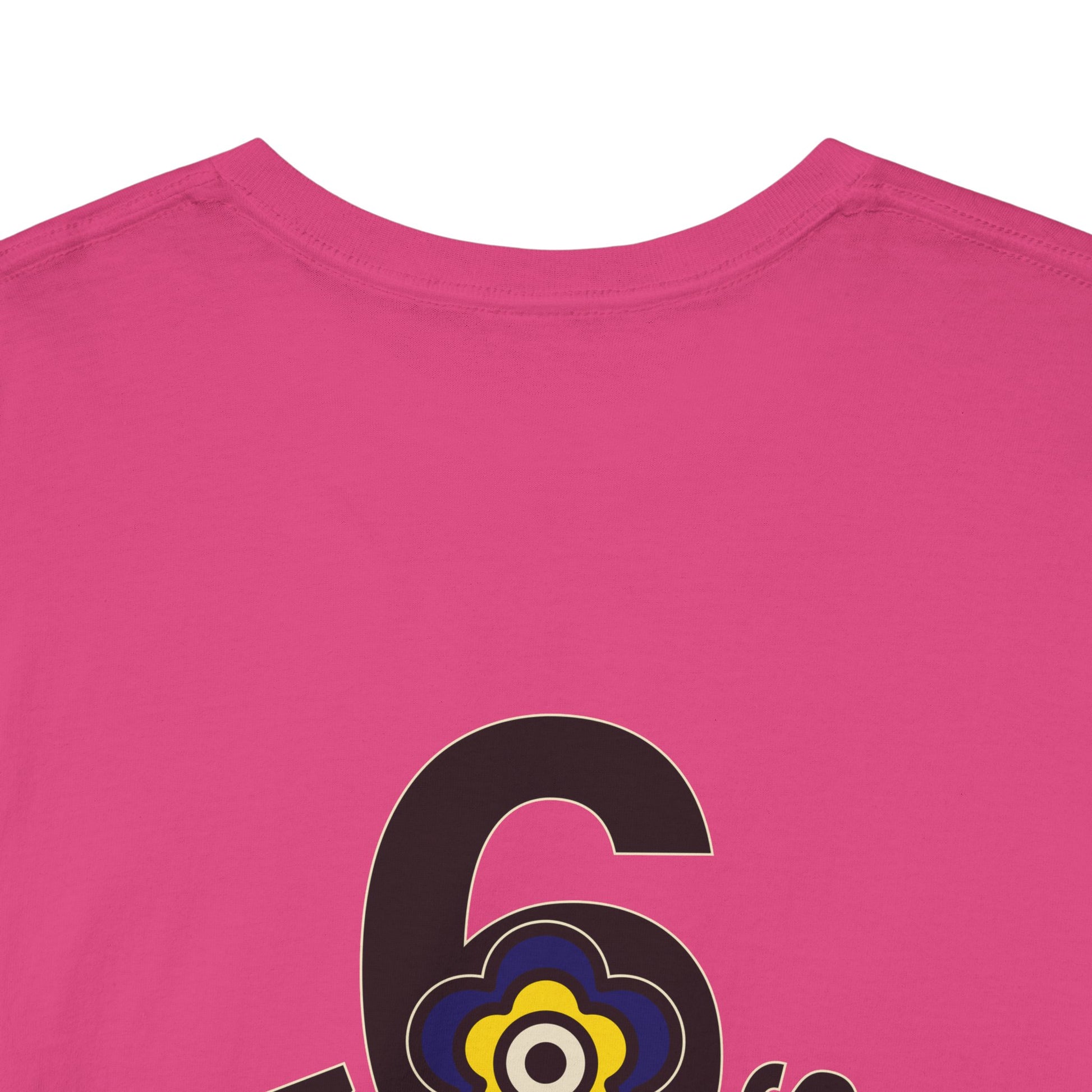 P🌺🌺P2Poppies 6 Months Sober – Motivational Recovery T-Shirt