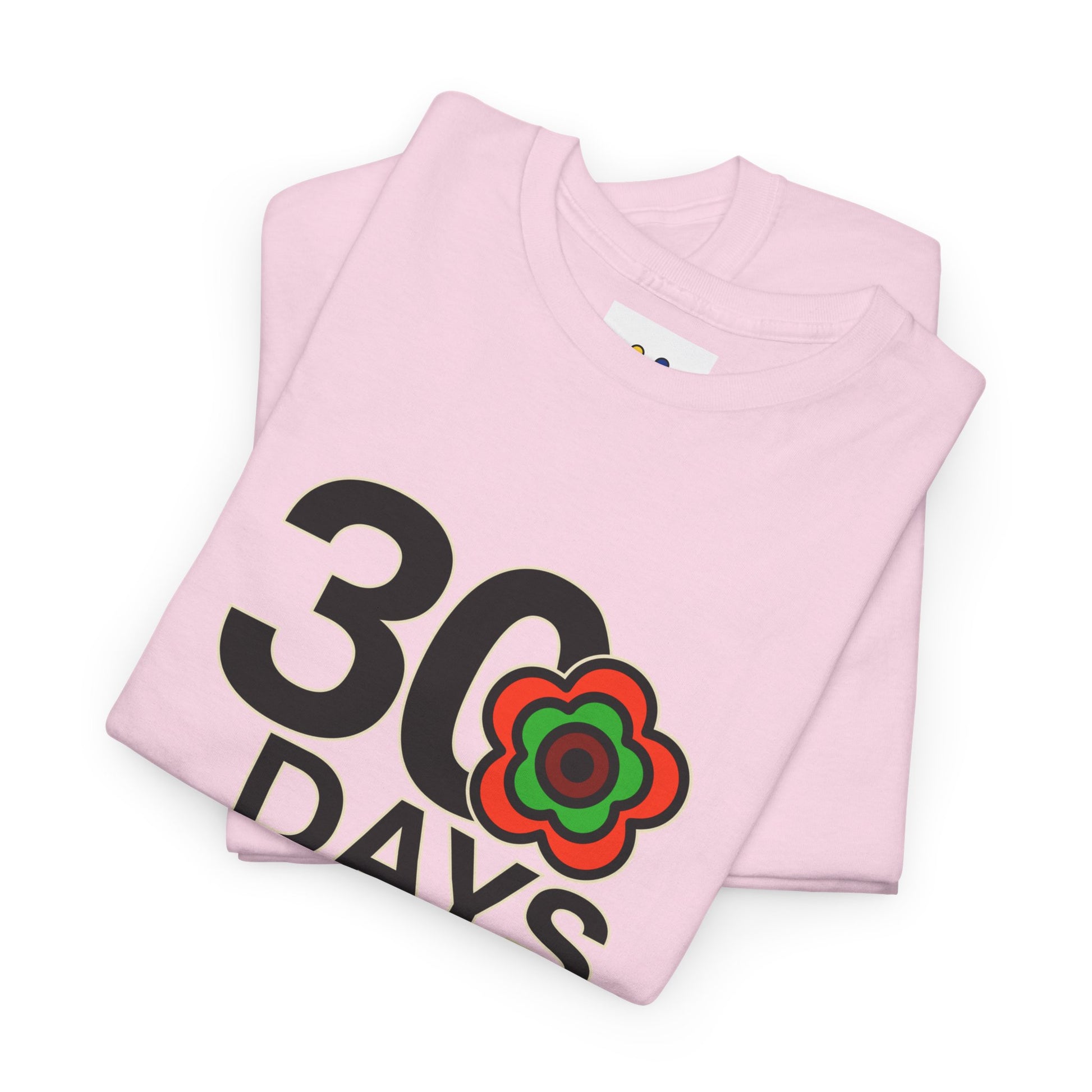 P🌺🌺P2Poppies 30 Days Sober – Motivational Recovery T-Shirt