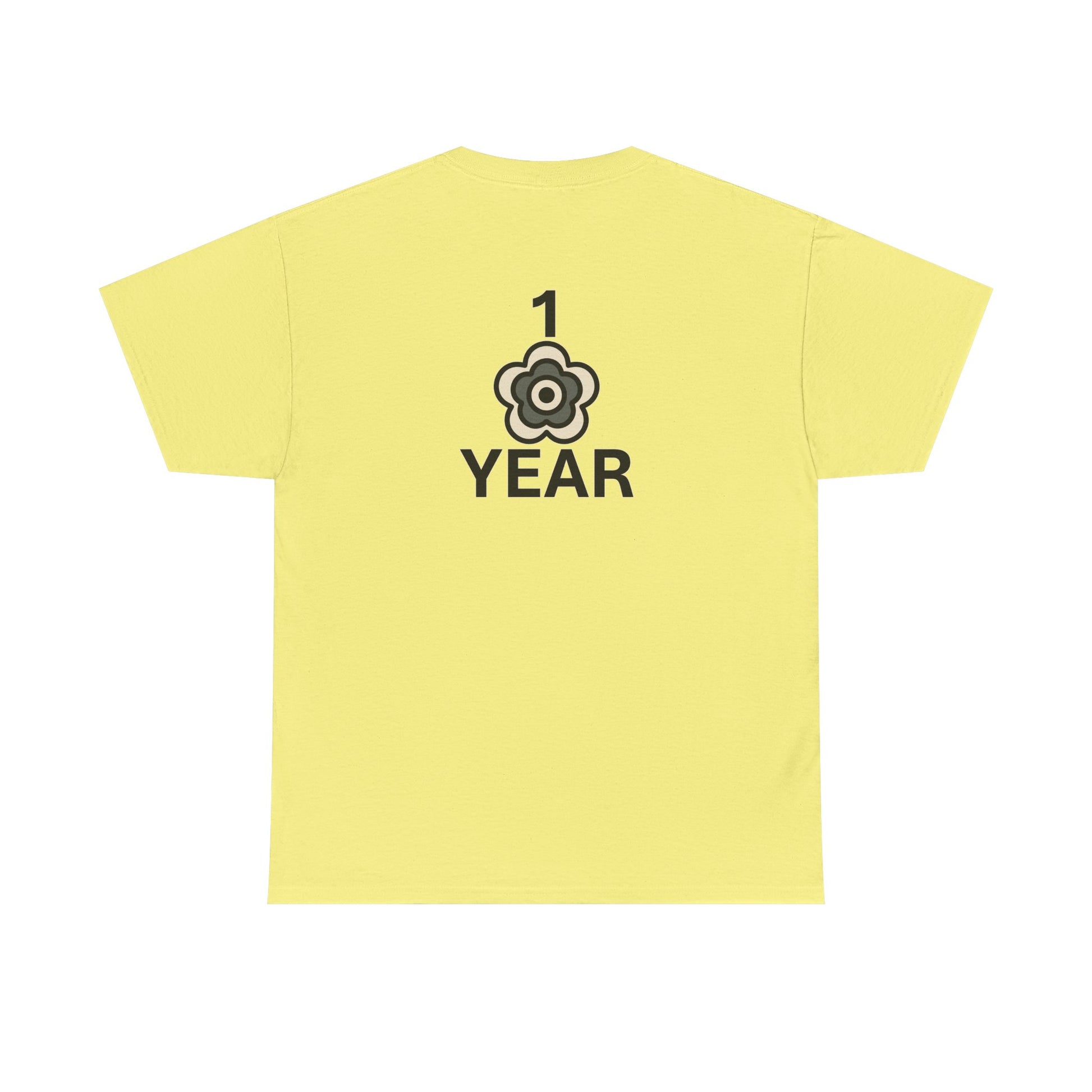 P🌺🌺P2Poppies 1 Year Sober – Motivational Recovery T-Shirt