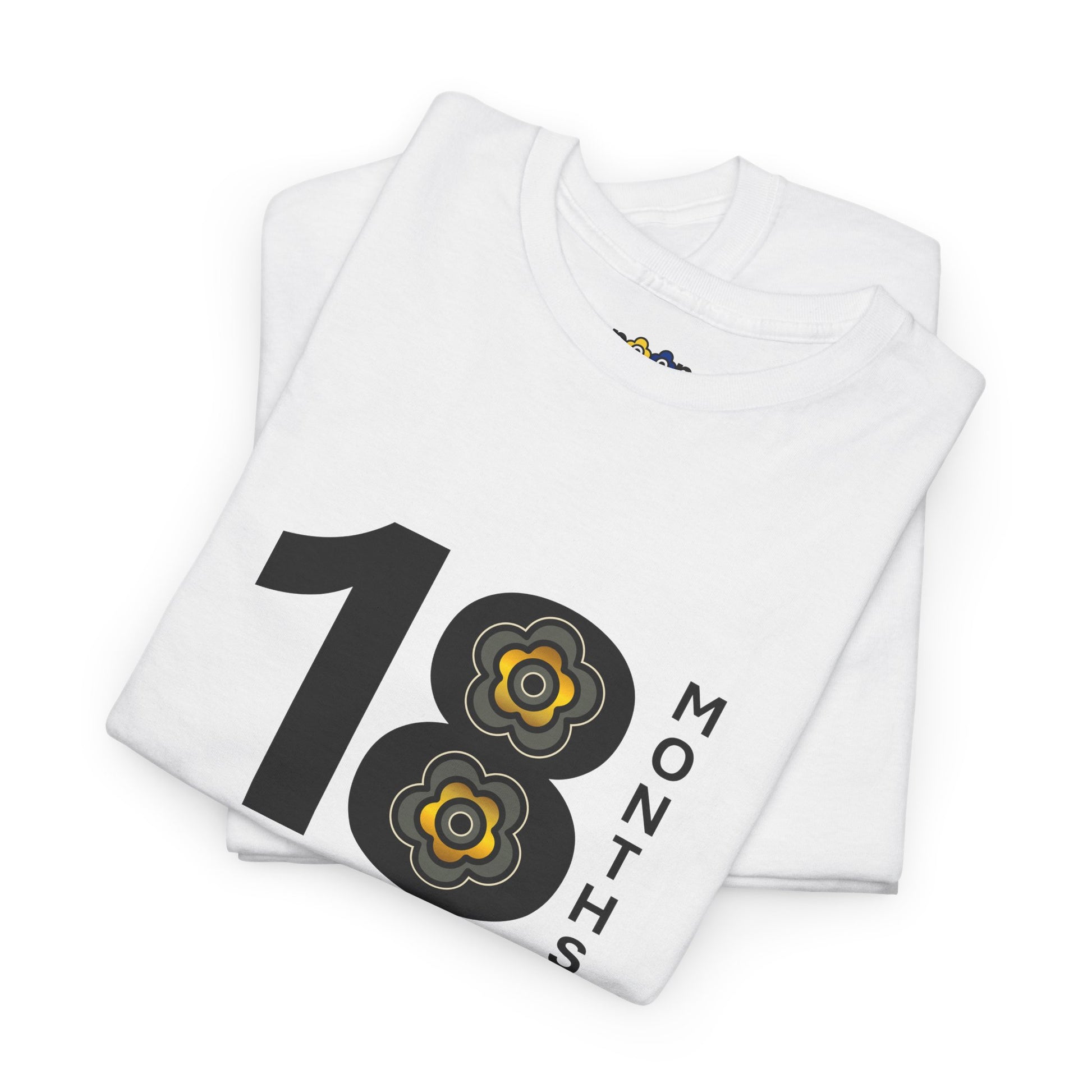 P🌺🌺P2Poppies 18 Months Sober – Motivational Recovery T-Shirt