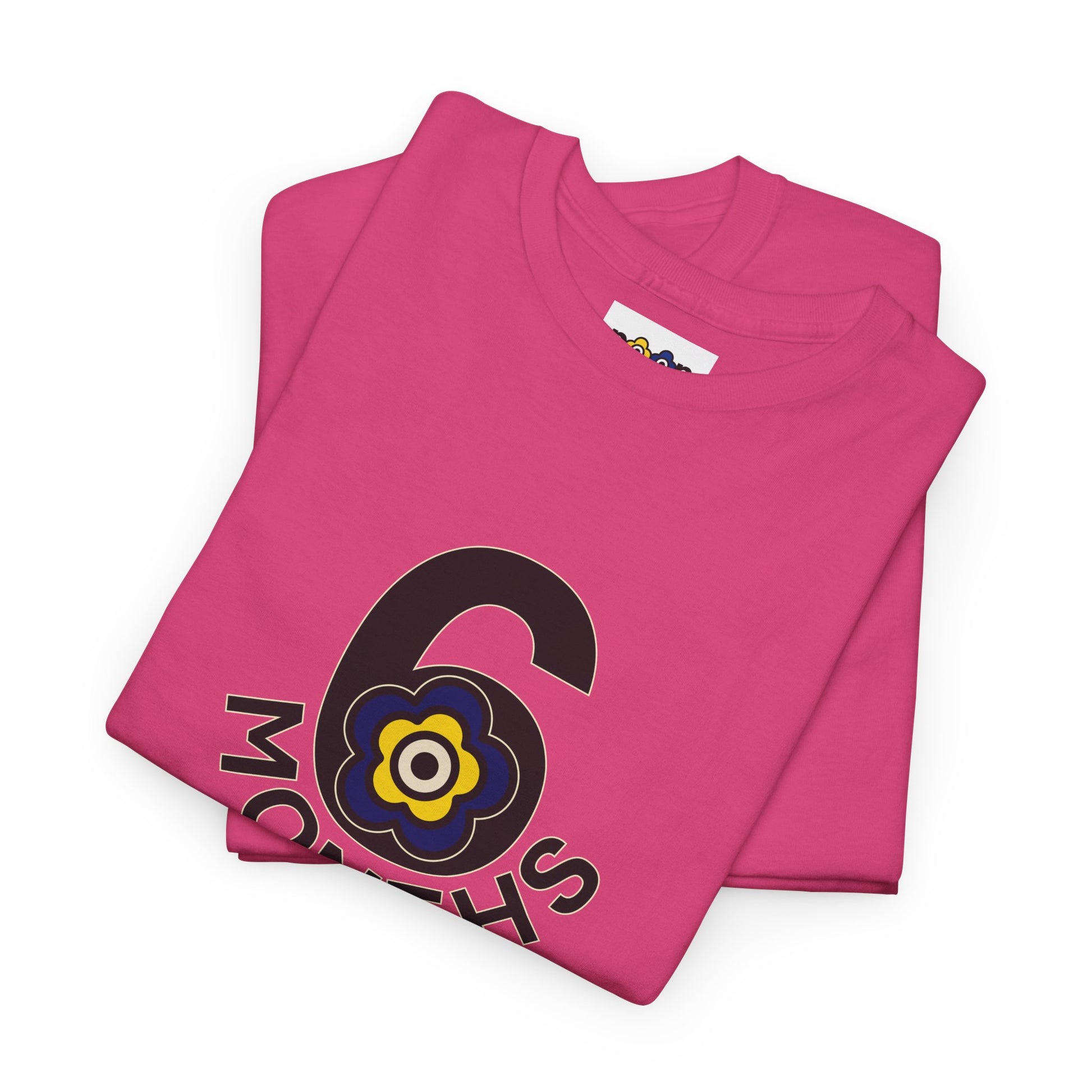 P🌺🌺P2Poppies 6 Months Sober – Motivational Recovery T-Shirt