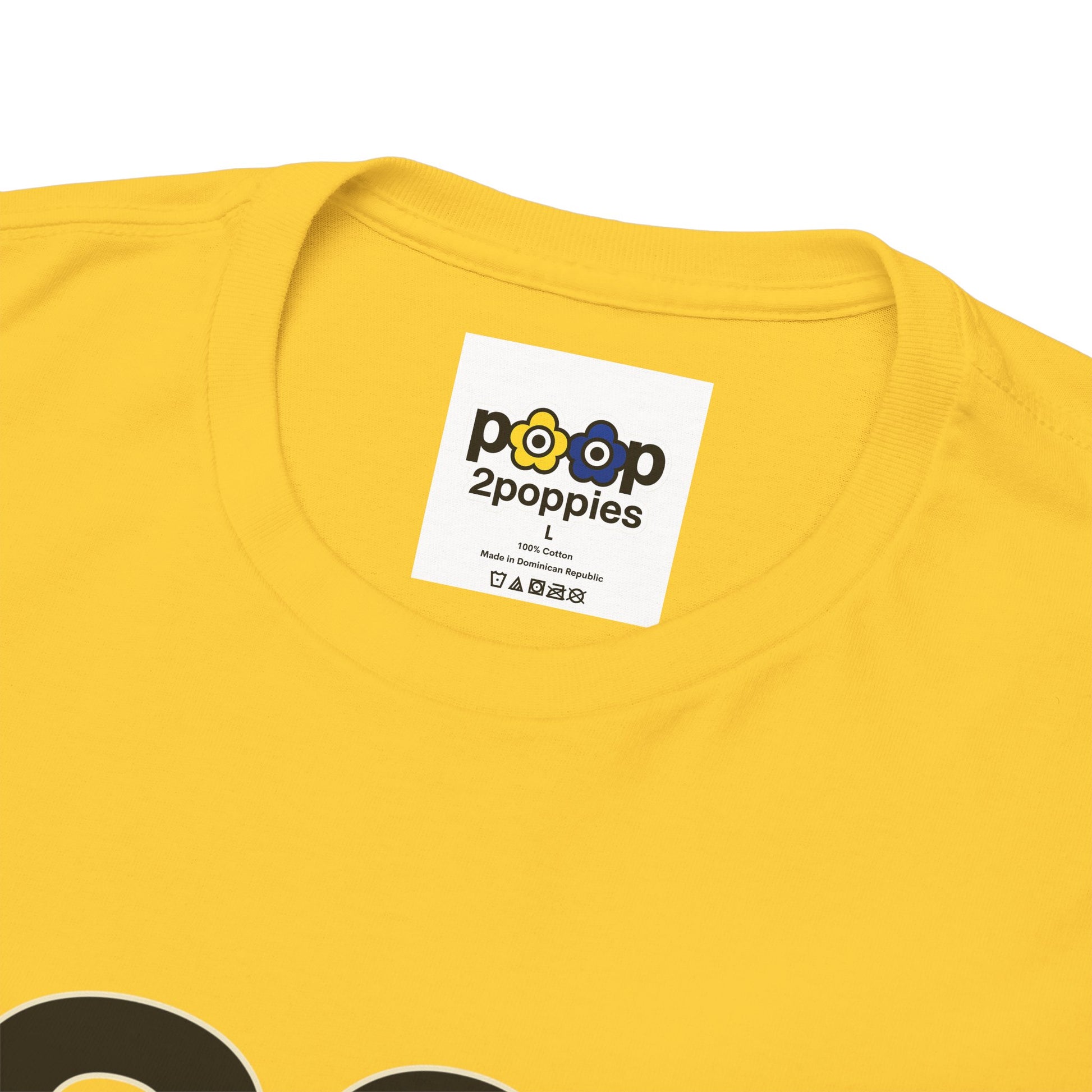 P🌺🌺P2Poppies 30 Days Sober – Motivational Recovery T-Shirt