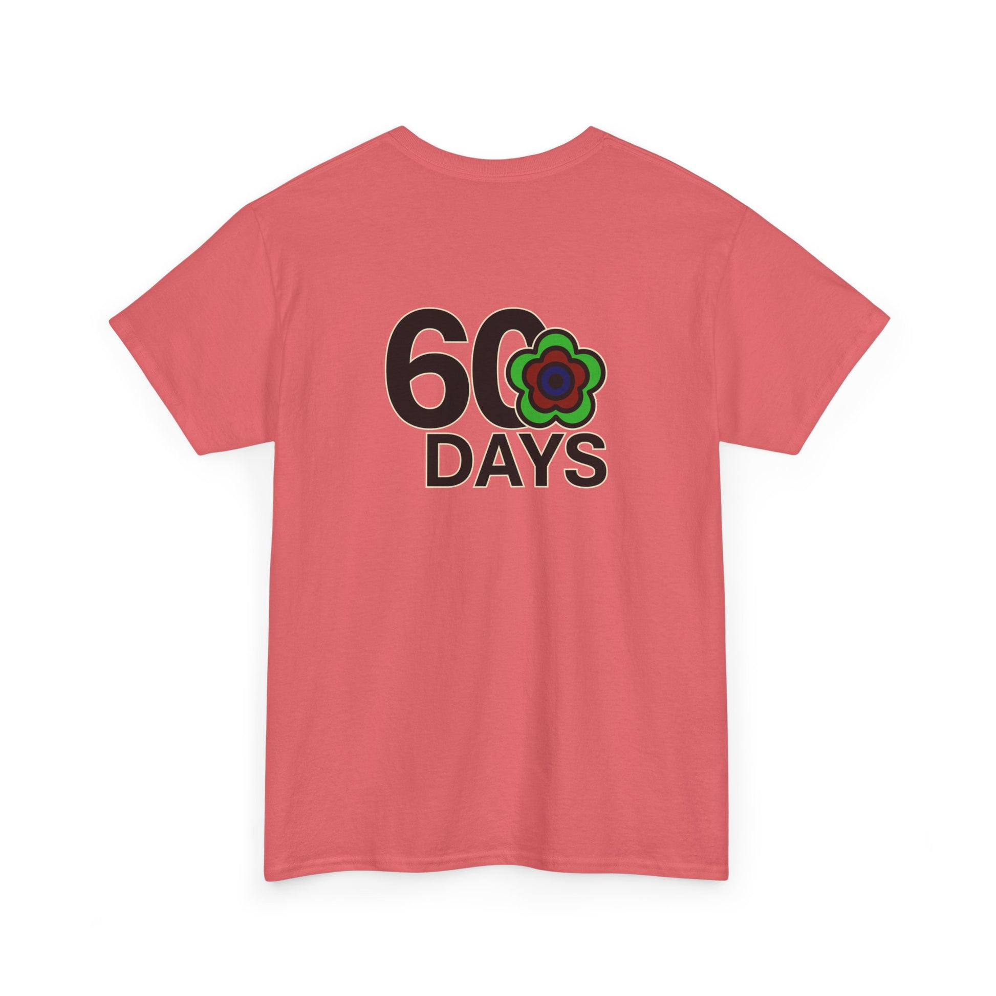 P🌺🌺P2Poppies 60 Days Sober – Motivational Recovery T-Shirt