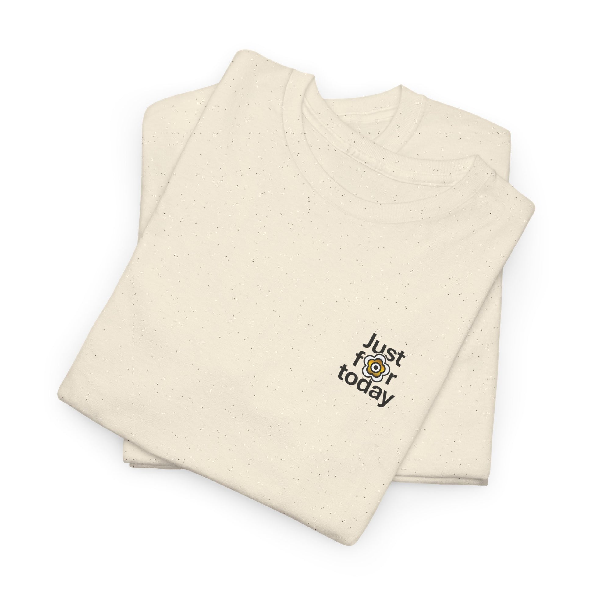 P🌺🌺P2Poppies Just for Today – Motivational Recovery T-Shirt