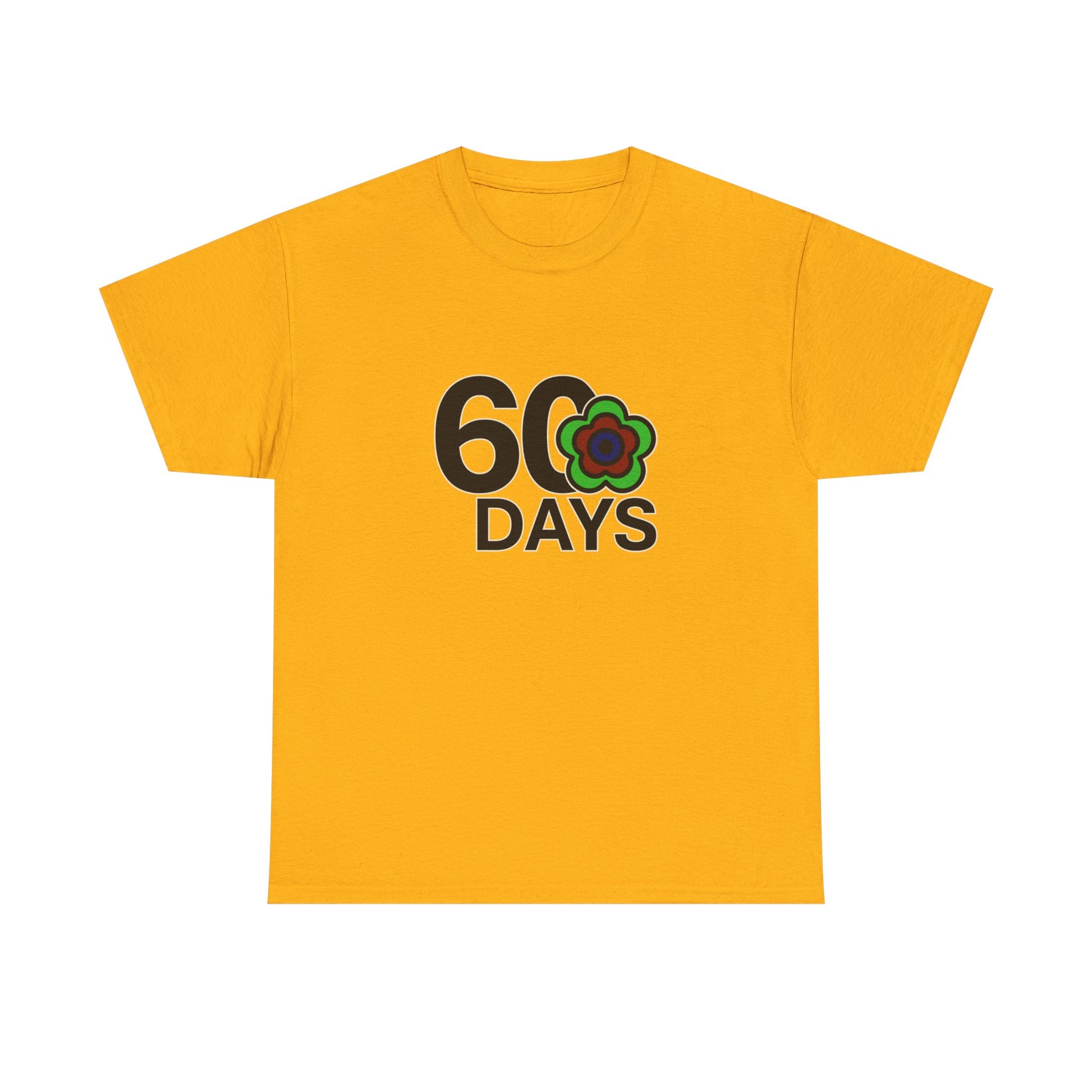 P🌺🌺P2Poppies 60 Days Sober – Motivational Recovery T-Shirt