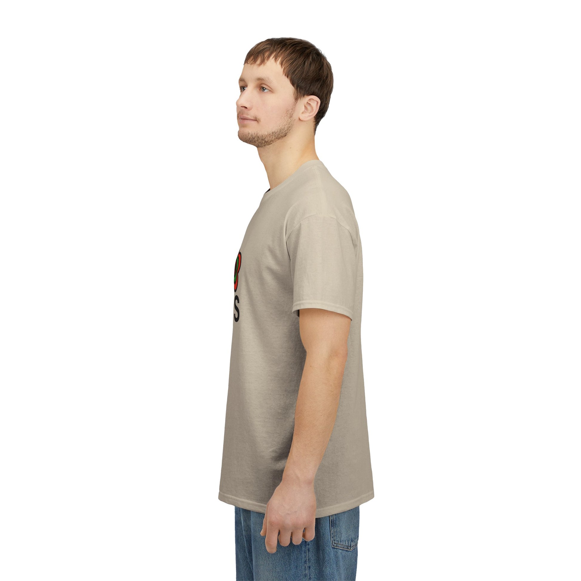 P🌺🌺P2Poppies 30 Days Sober – Motivational Recovery T-Shirt