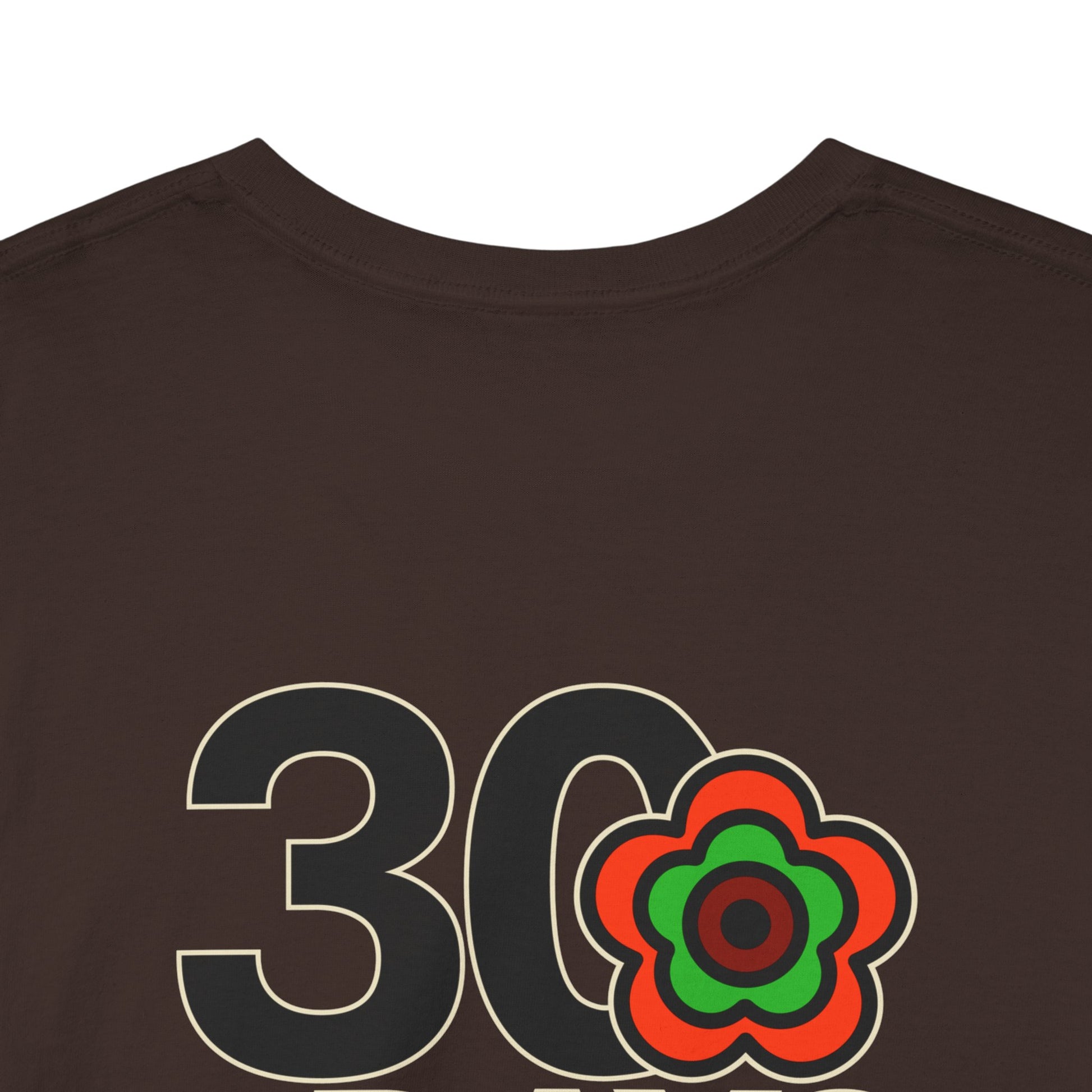 P🌺🌺P2Poppies 30 Days Sober – Motivational Recovery T-Shirt