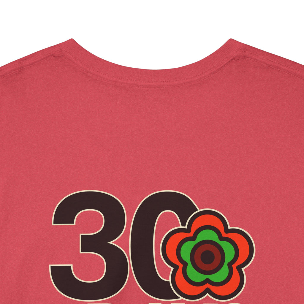 P🌺🌺P2Poppies 30 Days Sober – Motivational Recovery T-Shirt