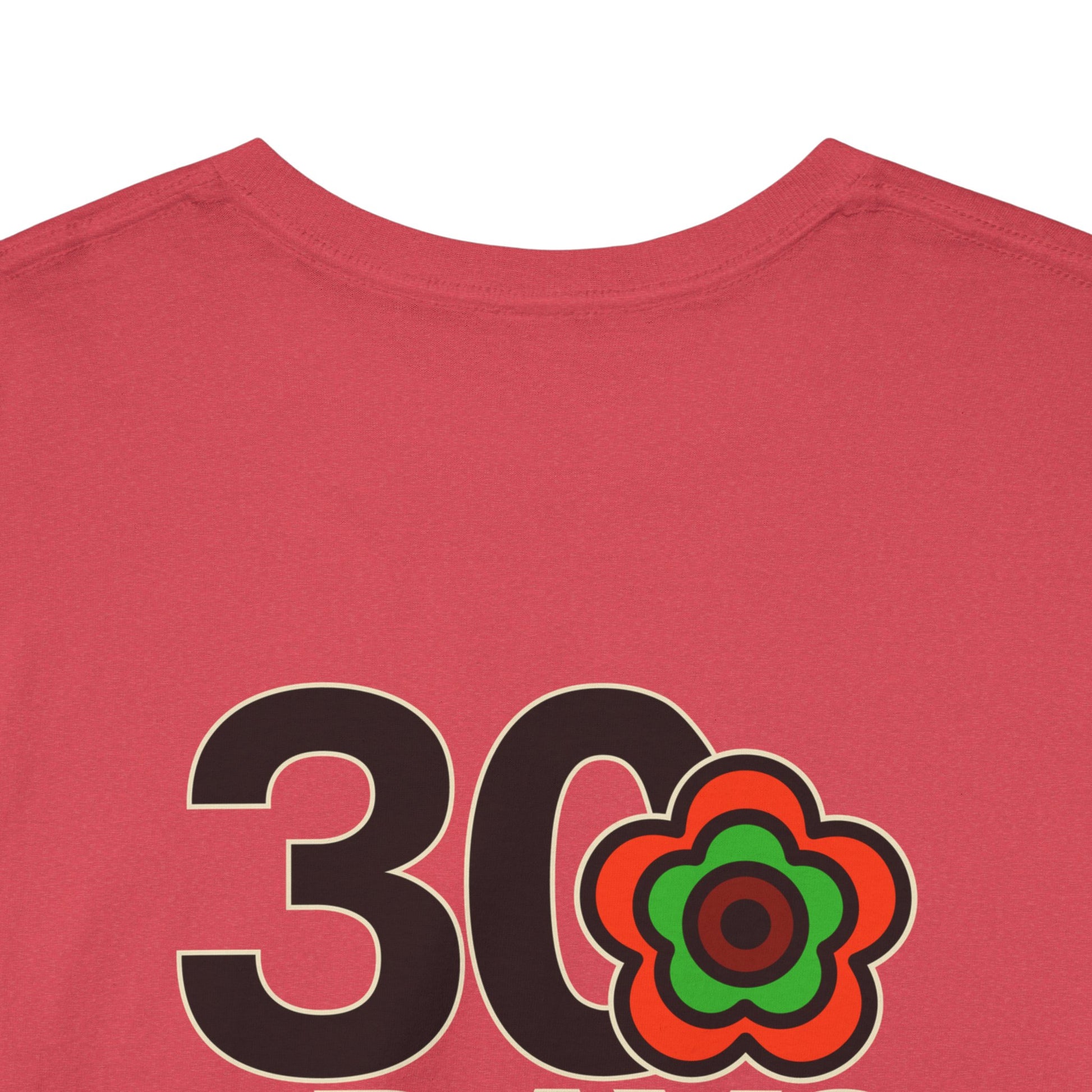 P🌺🌺P2Poppies 30 Days Sober – Motivational Recovery T-Shirt