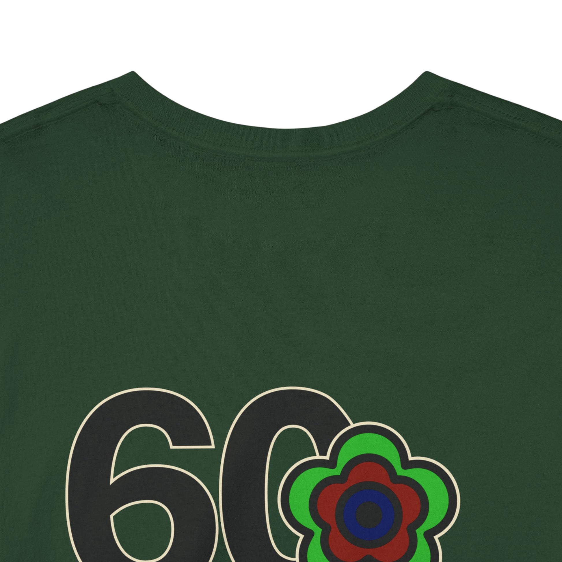 P🌺🌺P2Poppies 60 Days Sober – Motivational Recovery T-Shirt