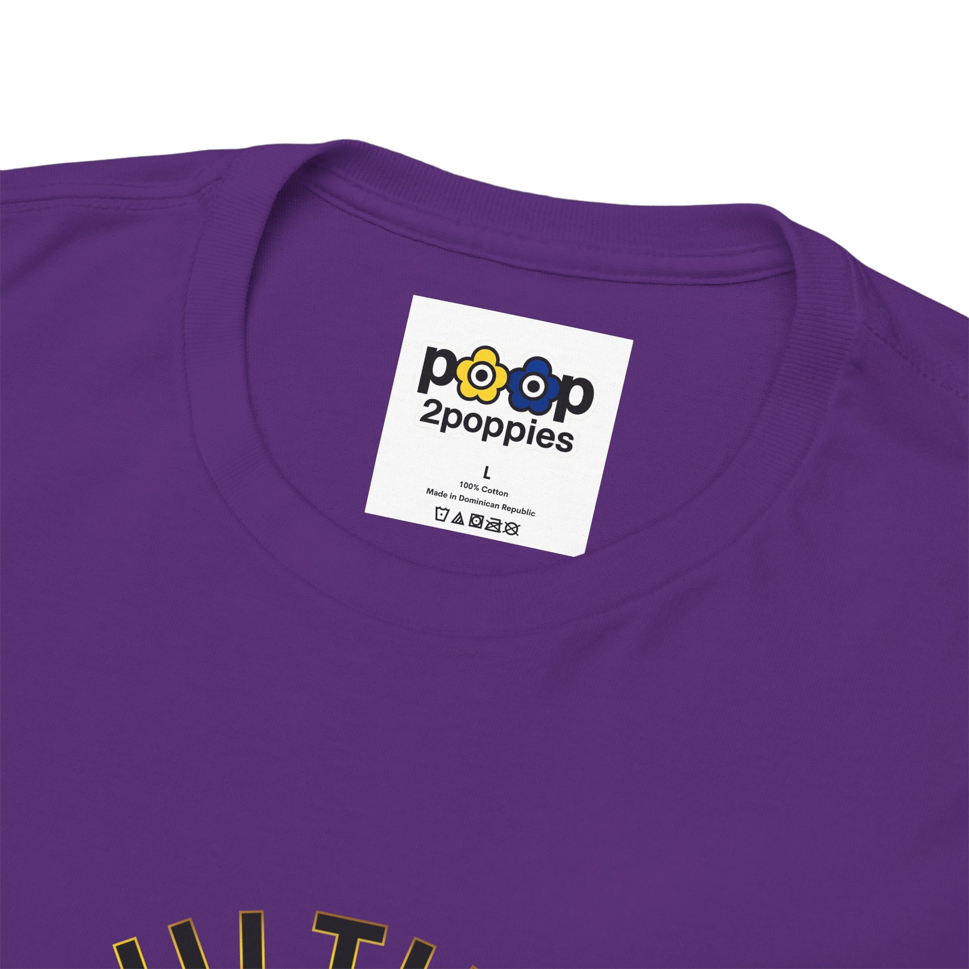 P🌺🌺P2Poppies Multiple Years Sober – Motivational Recovery T-Shirt