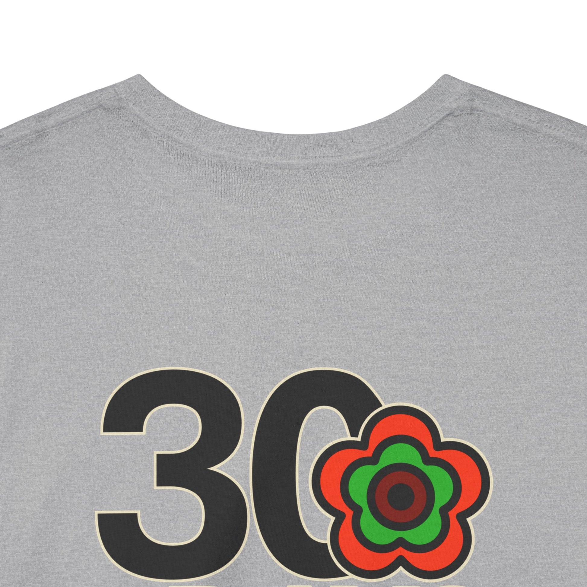 P🌺🌺P2Poppies 30 Days Sober – Motivational Recovery T-Shirt