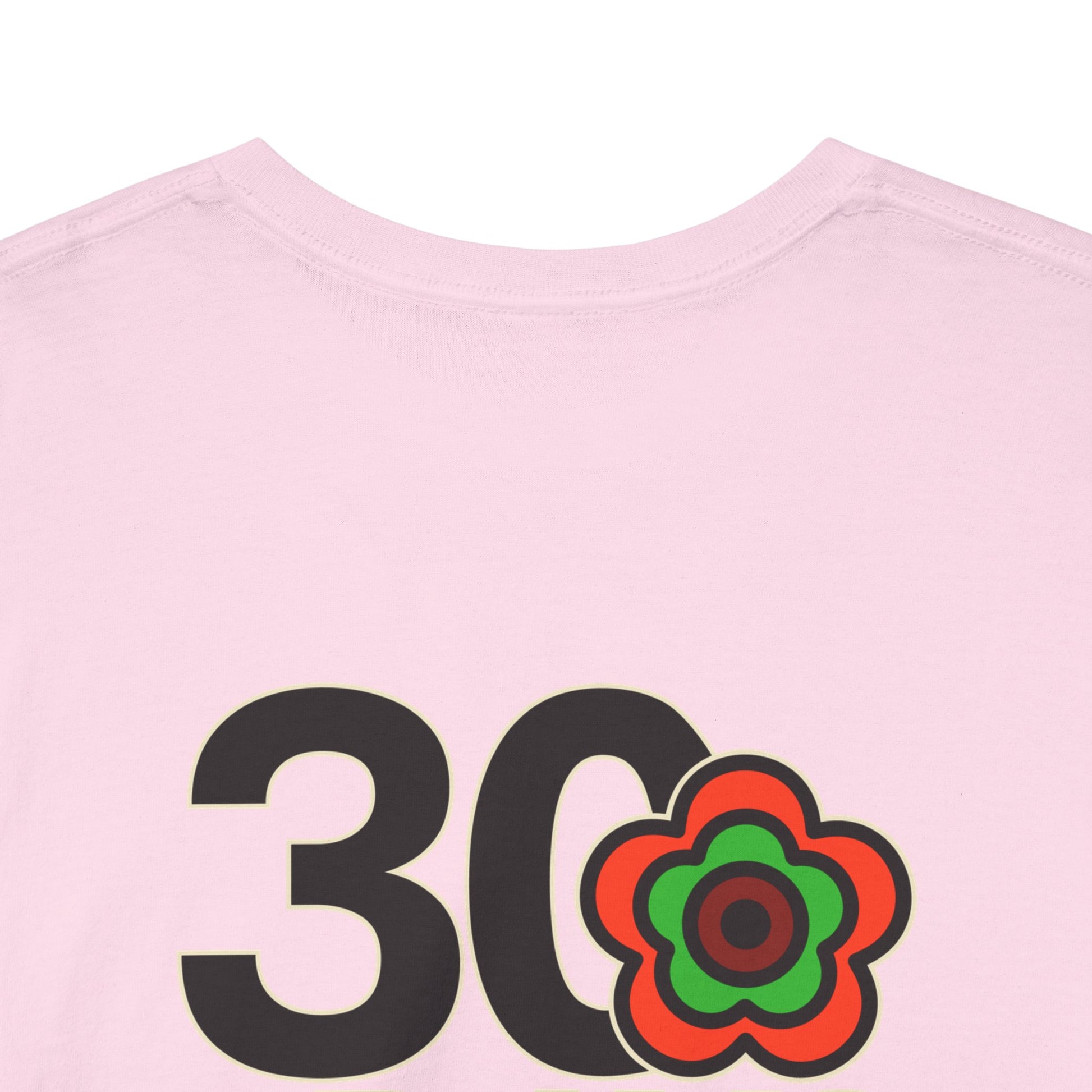 P🌺🌺P2Poppies 30 Days Sober – Motivational Recovery T-Shirt