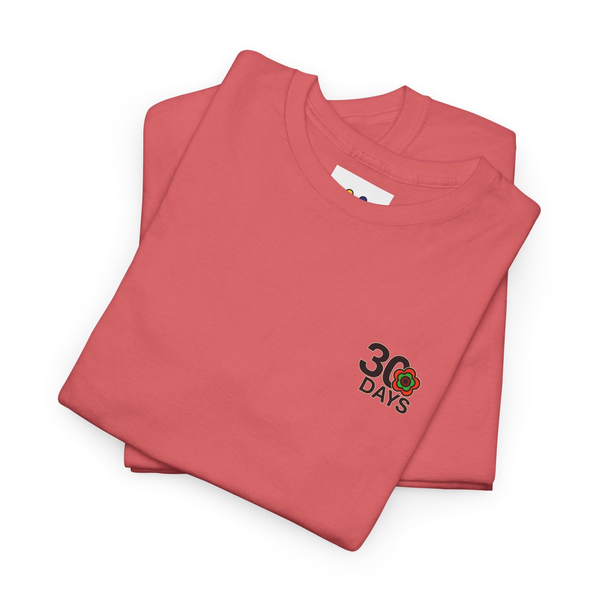 P🌺🌺P2Poppies 30 Days Sober – Motivational Recovery T-Shirt